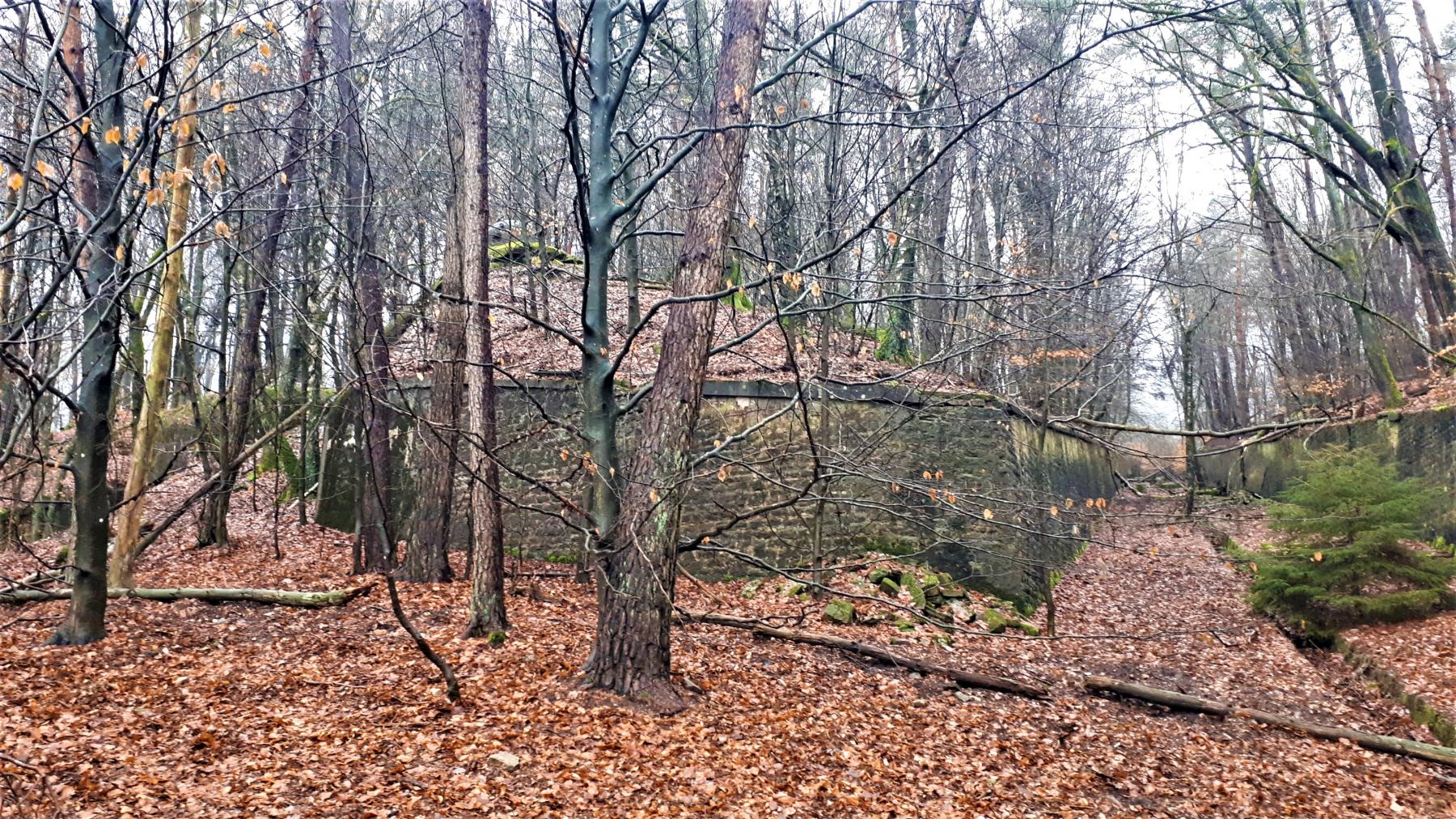 Ligne Maginot - HOCHWALD C6 - (Casemate d'infanterie) - Le mur d'escarpe entre la casemate C6 et l'extrémité du fossé de la casemate C5