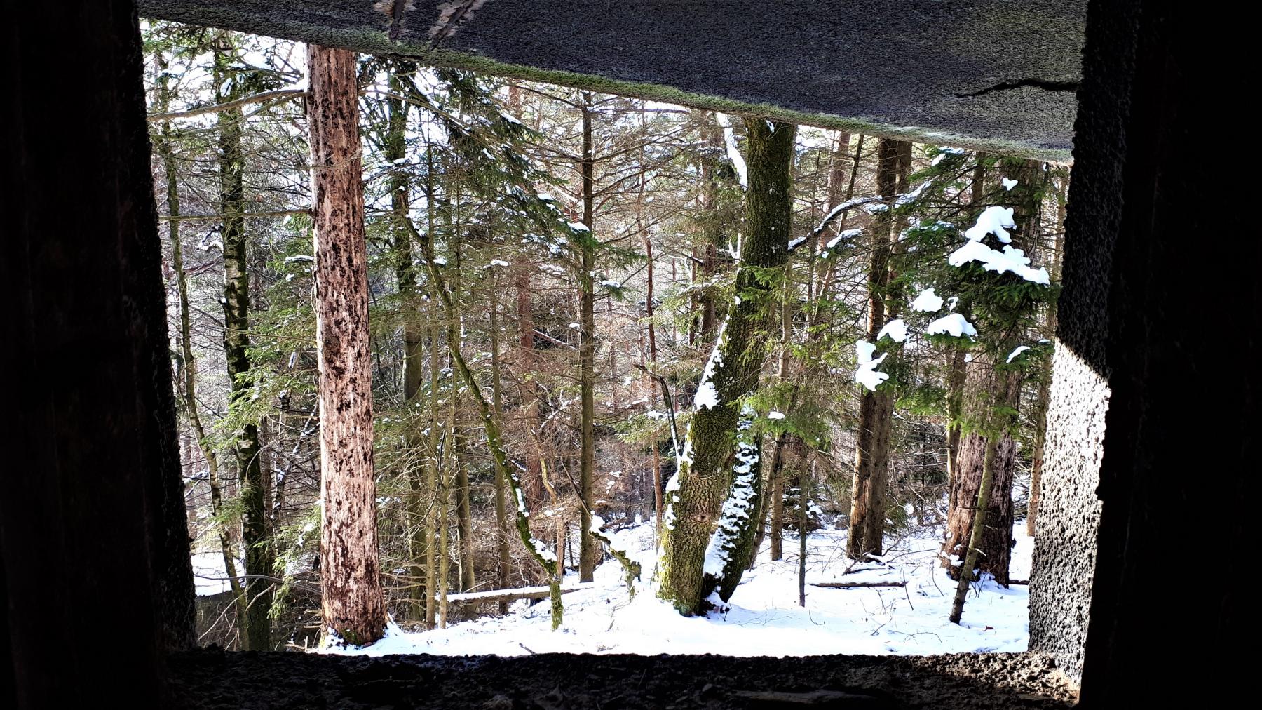 Ligne Maginot - HOCHWALD C3 - (Casemate d'infanterie - double) - Chambre de tir haute, vue depuis le créneau JM