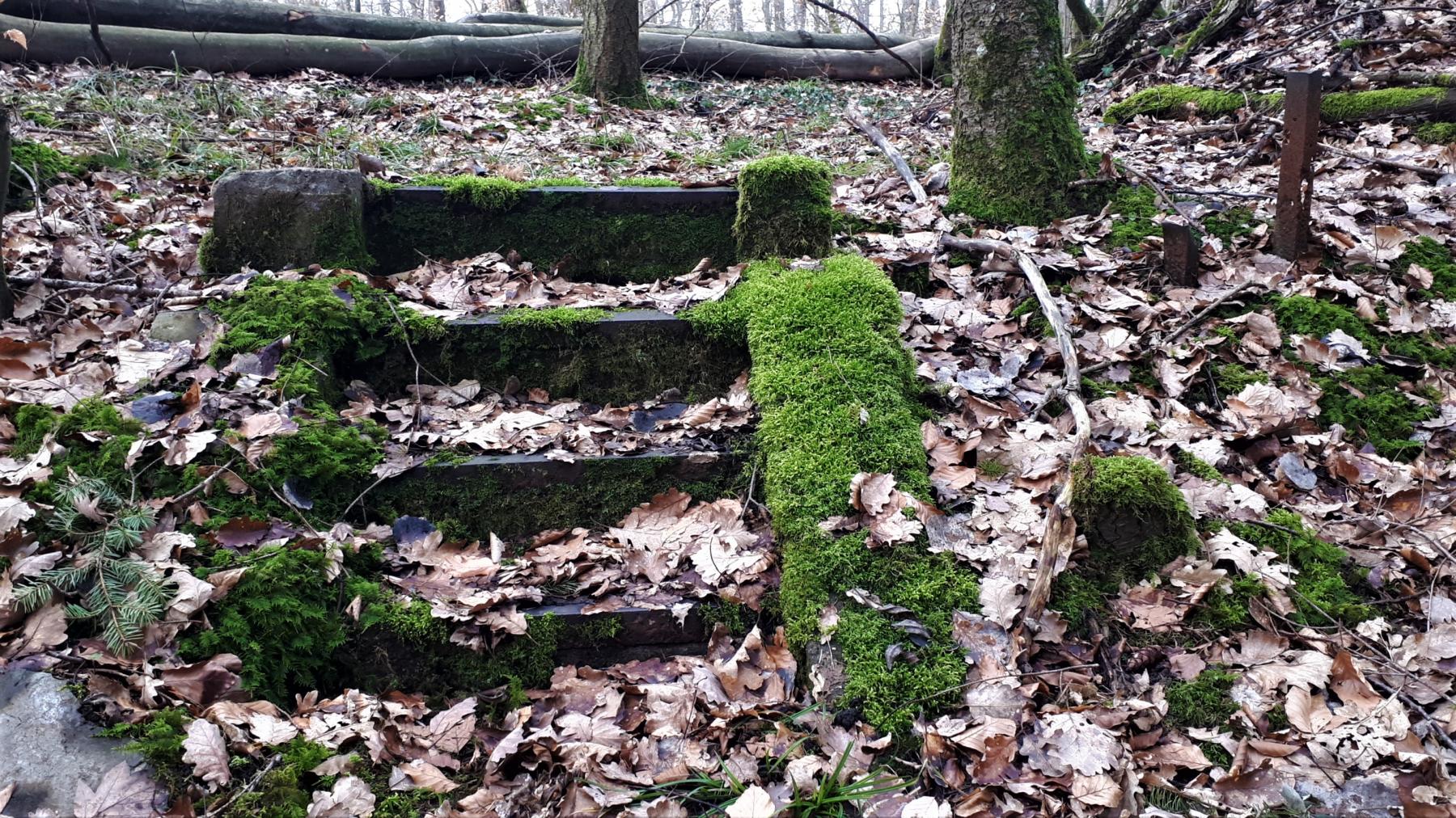 Ligne Maginot - DRACHENBRONN SUD EST - (Casemate d'infanterie) - Escalier à l'entrée de la casemate - Gregory Fuchs