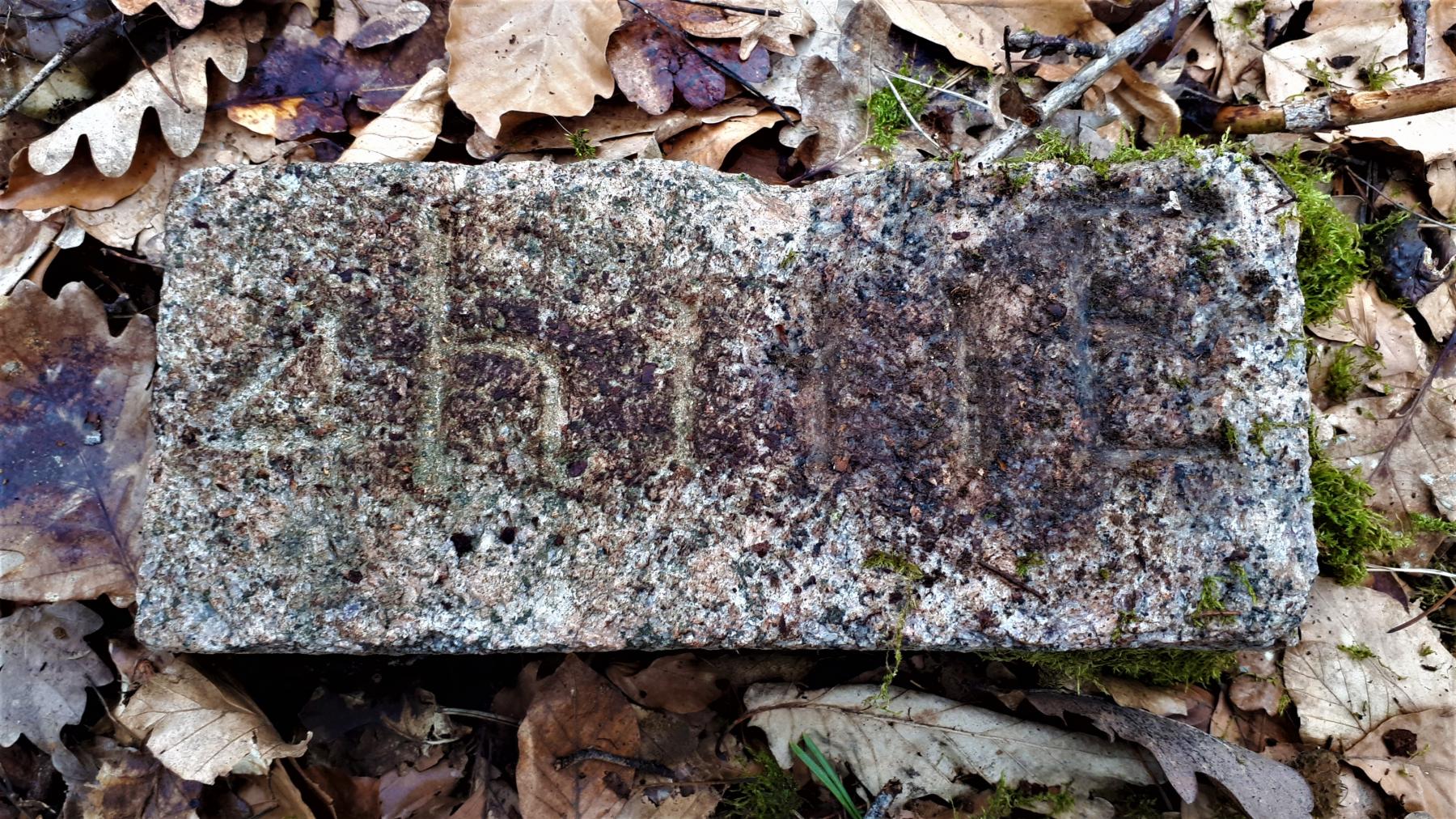 Ligne Maginot - DRACHENBRONN SUD EST - (Casemate d'infanterie) - Borne téléphonique 4h111E à proximité de la casemate - Gregory Fuchs