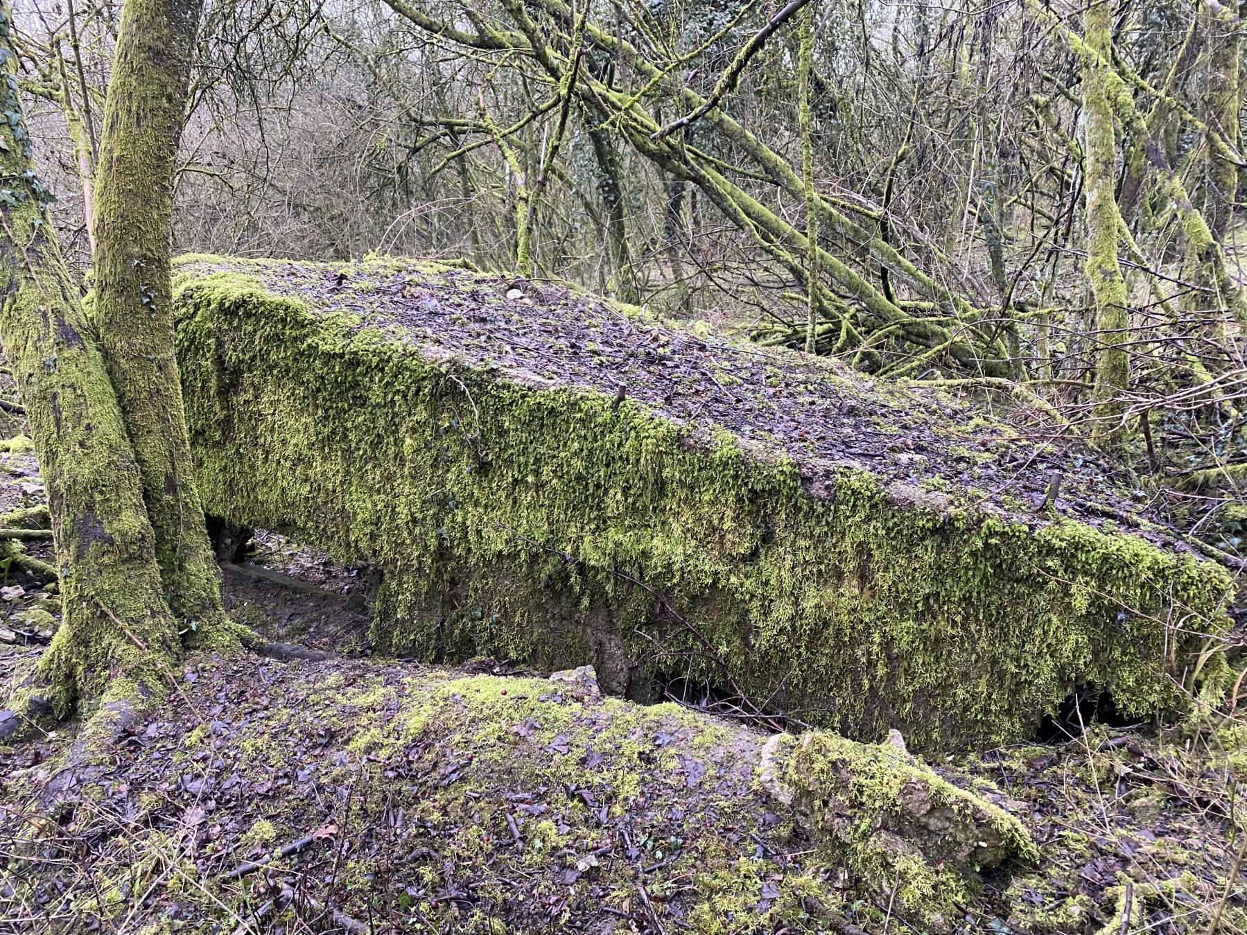 Ligne Maginot - BINING EST - (Blockhaus pour arme infanterie) -  - STEINER Jérémy