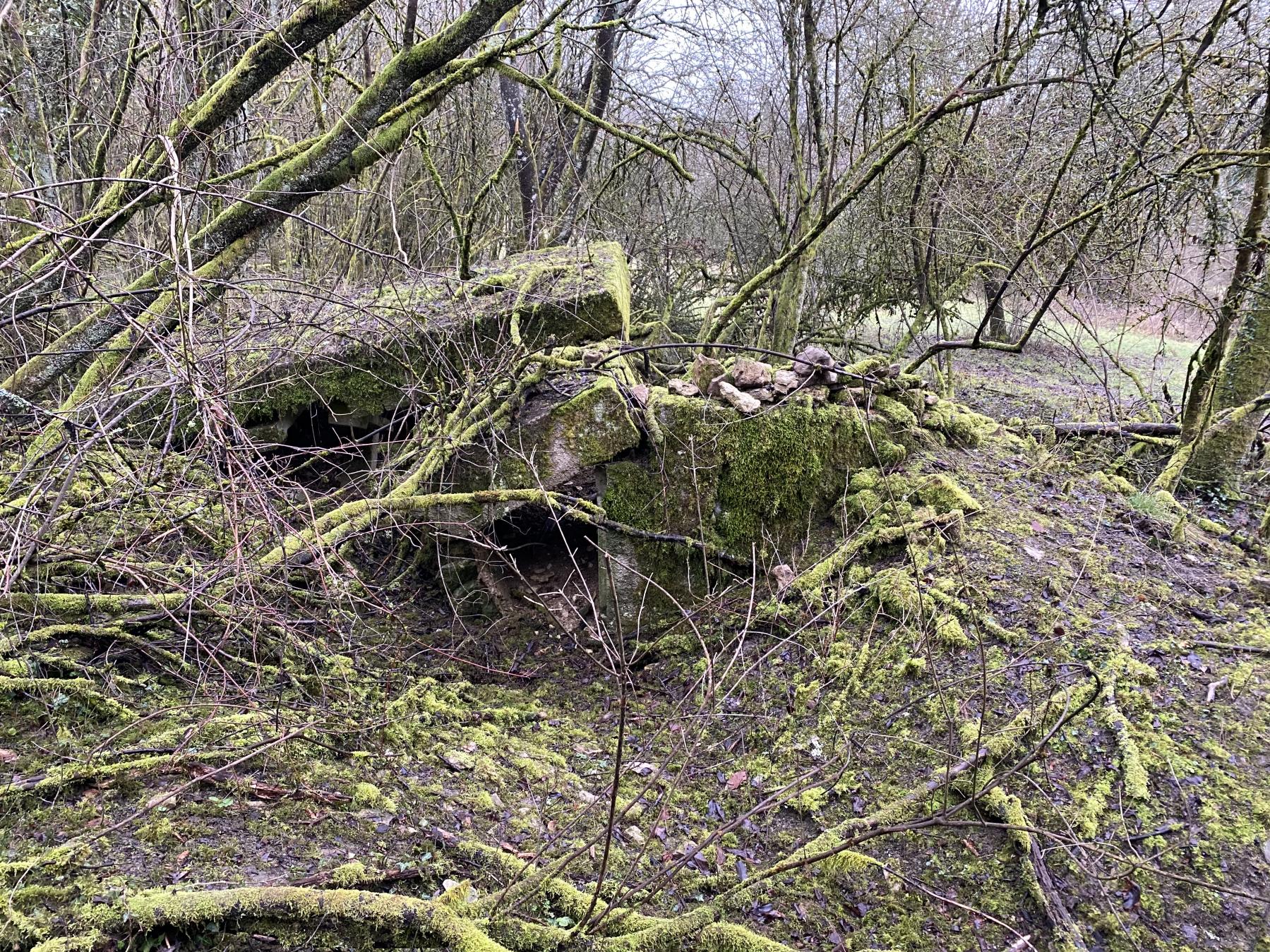 Ligne Maginot - BINING EST - (Blockhaus pour arme infanterie) -  - STEINER Jérémy