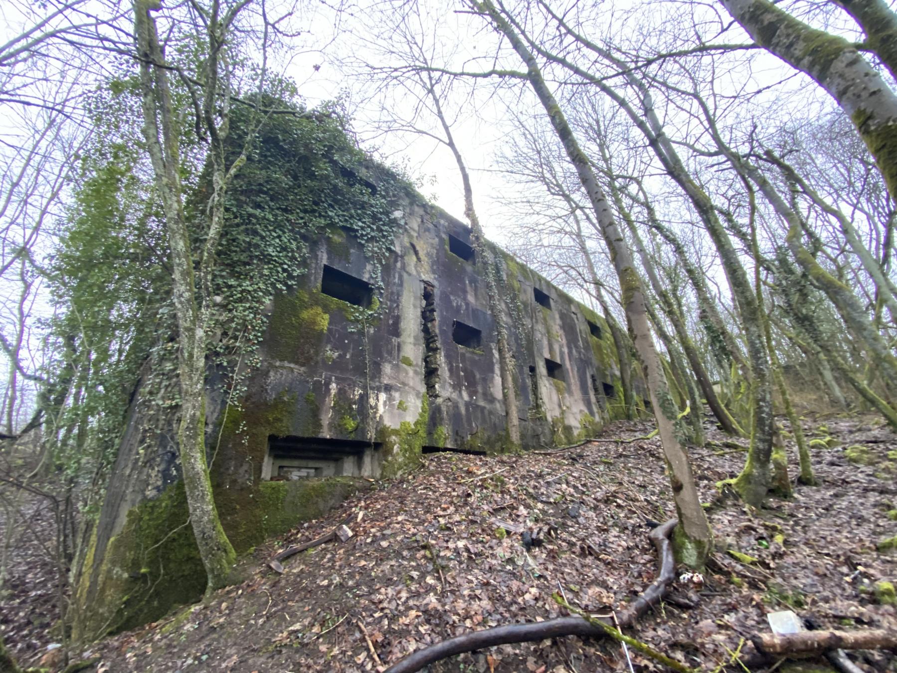 Ligne Maginot - ROHRBACH - (Stand de tir) - 