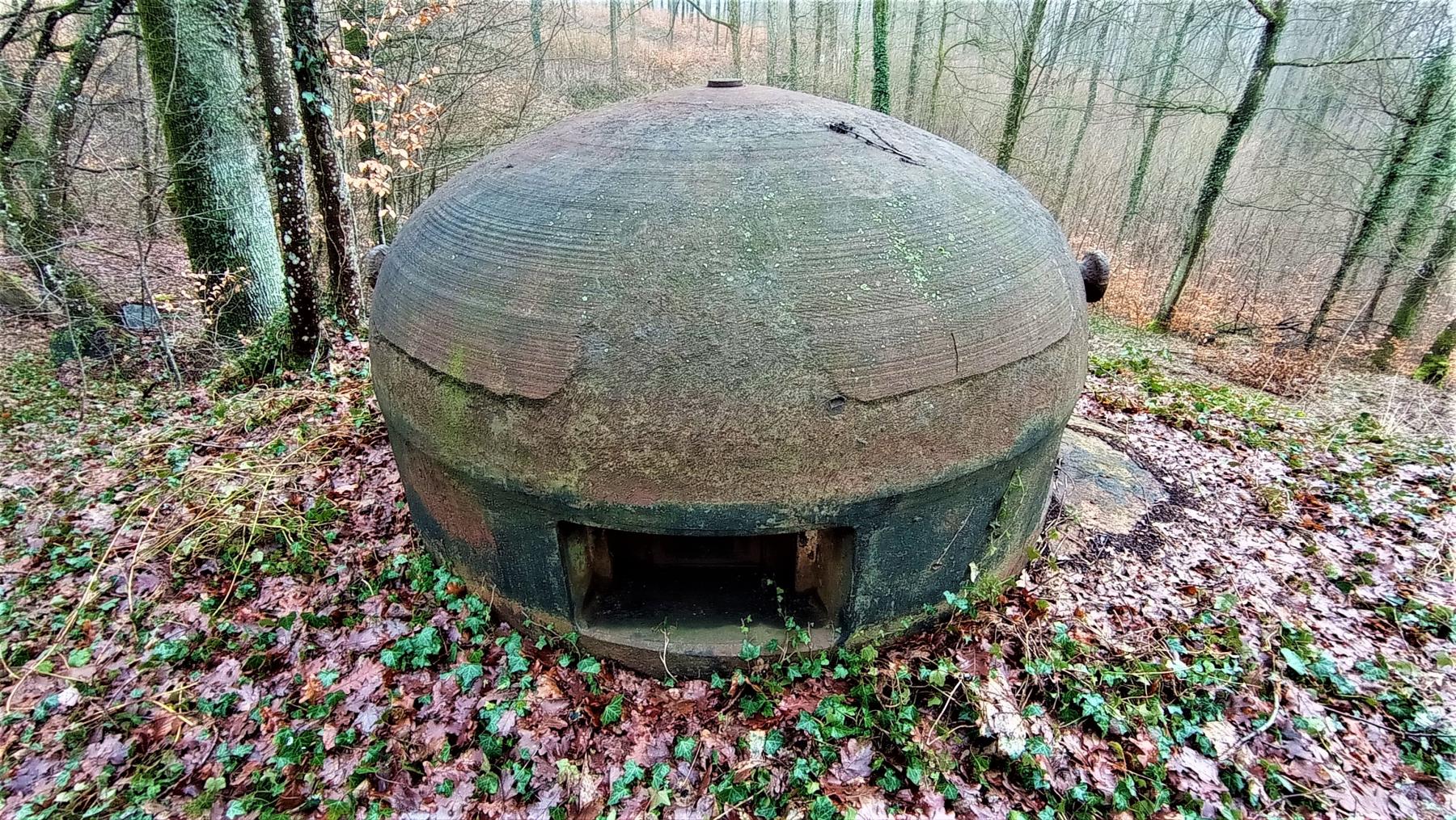 Ligne Maginot - FREUDENBERG (QUARTIER SCHIESSECK - I/37° RIF) - (Abri) - Cloche GFM du coffre Est - Baptiste GAUDIN
