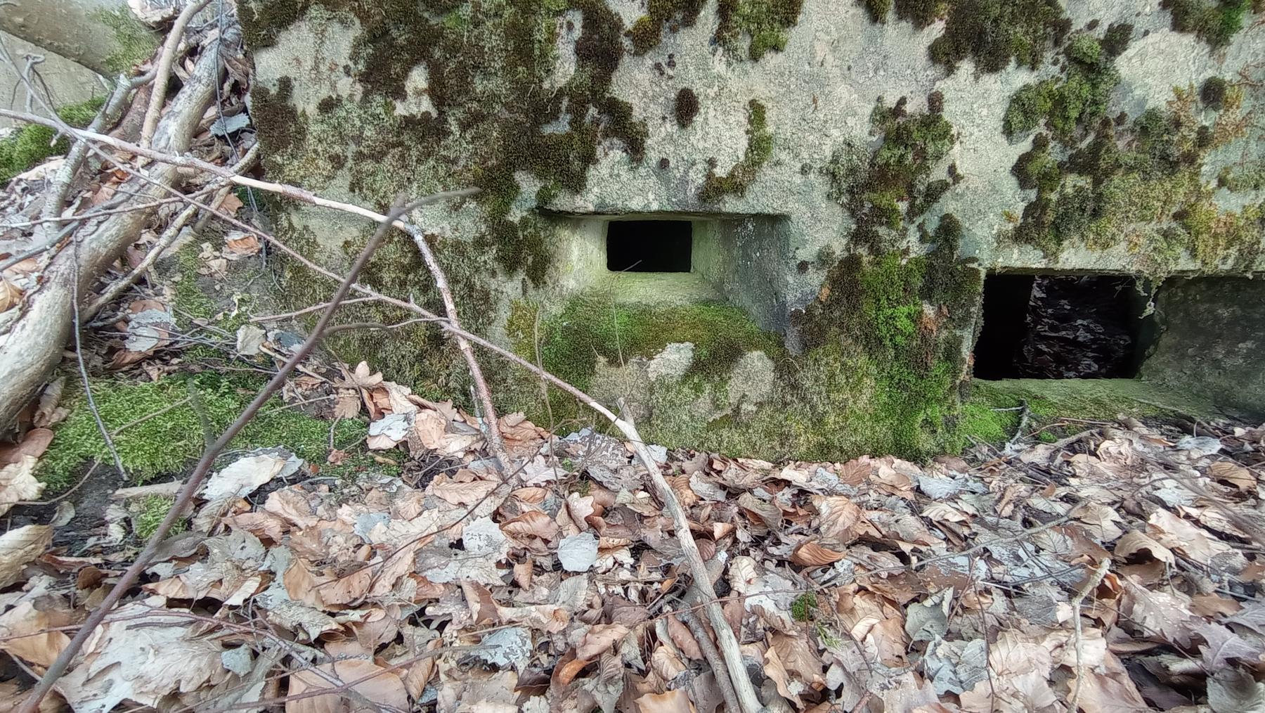 Ligne Maginot - HOCHWALD OUEST 5 - (Blockhaus pour arme infanterie) - A gauche créneau d'observation, à droite créneau de tir