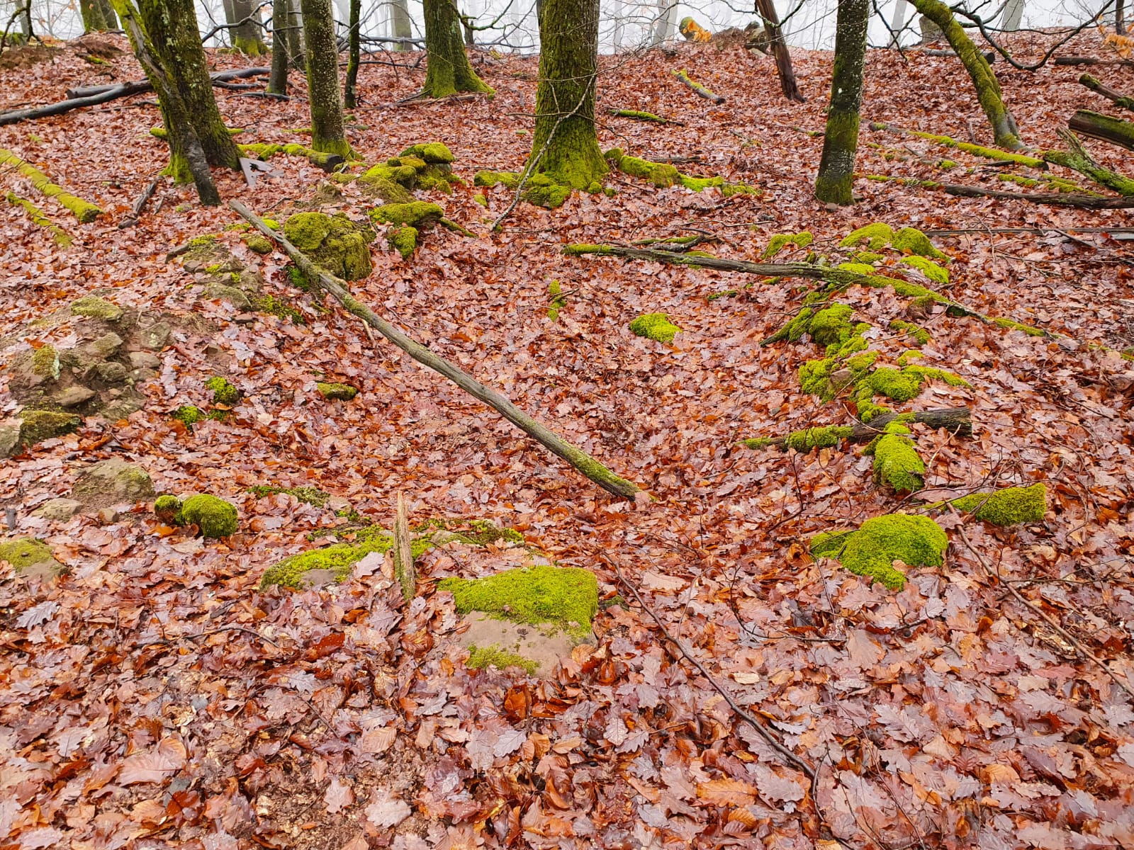 Ligne Maginot - P6A - KANDELBERG - (Unité de repérage par la lumière) -  - Baptiste Lett