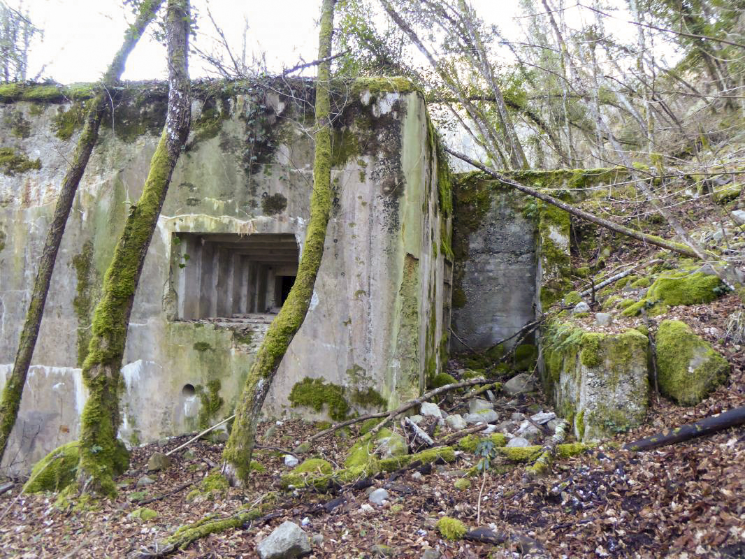 Ligne Maginot - E5 - LE SUQUET - (Casemate d'infanterie - Simple) - 