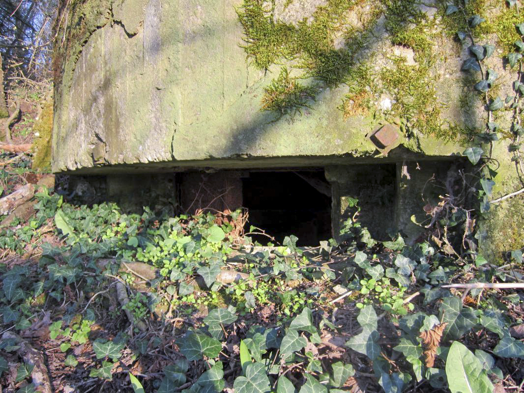 Ligne Maginot - MAISON FORESTIERE DE RITTERSHOFFEN 2 - (Blockhaus pour arme infanterie) - 