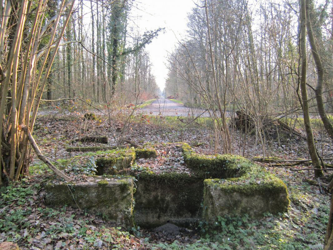 Ligne Maginot - MAISON FORESTIERE DE RITTERSHOFFEN 3 - (Cuve pour arme d'infanterie) - 