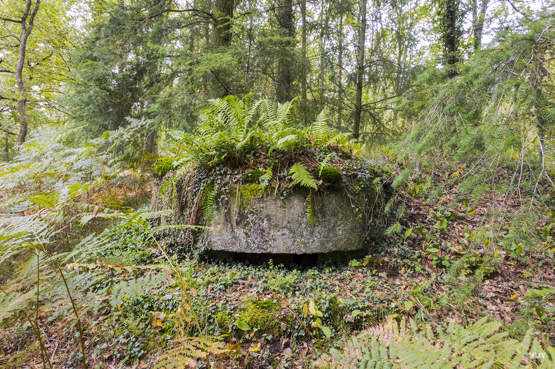 Ligne Maginot - MITTELWEG 1 (Blockhaus pour arme infanterie) - 