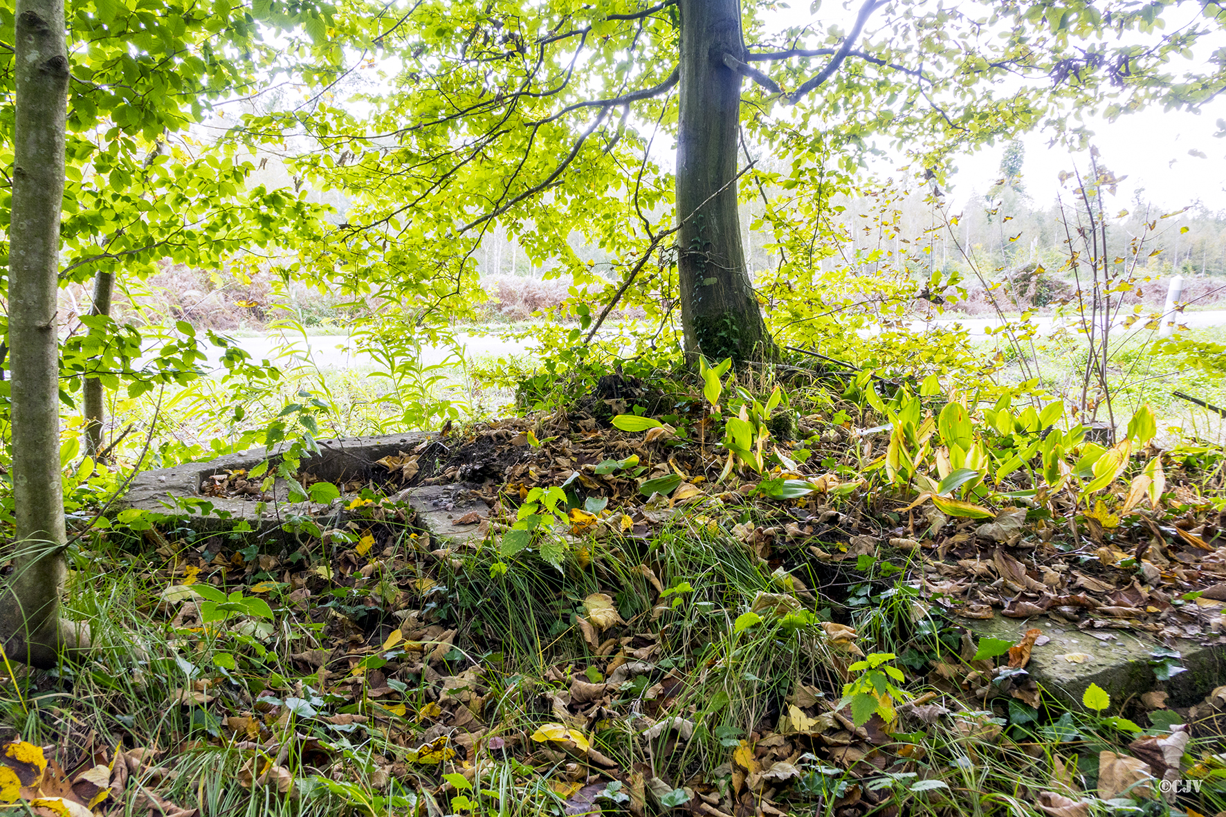 Ligne Maginot - MITTELWEG 4 - (Cuve pour arme d'infanterie) -  - Lia VERMEULEN