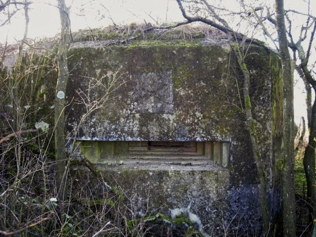 Ligne Maginot - GUCKENBERG 9 - (Observatoire d'artillerie) - Façade Est - Christian LENHARD