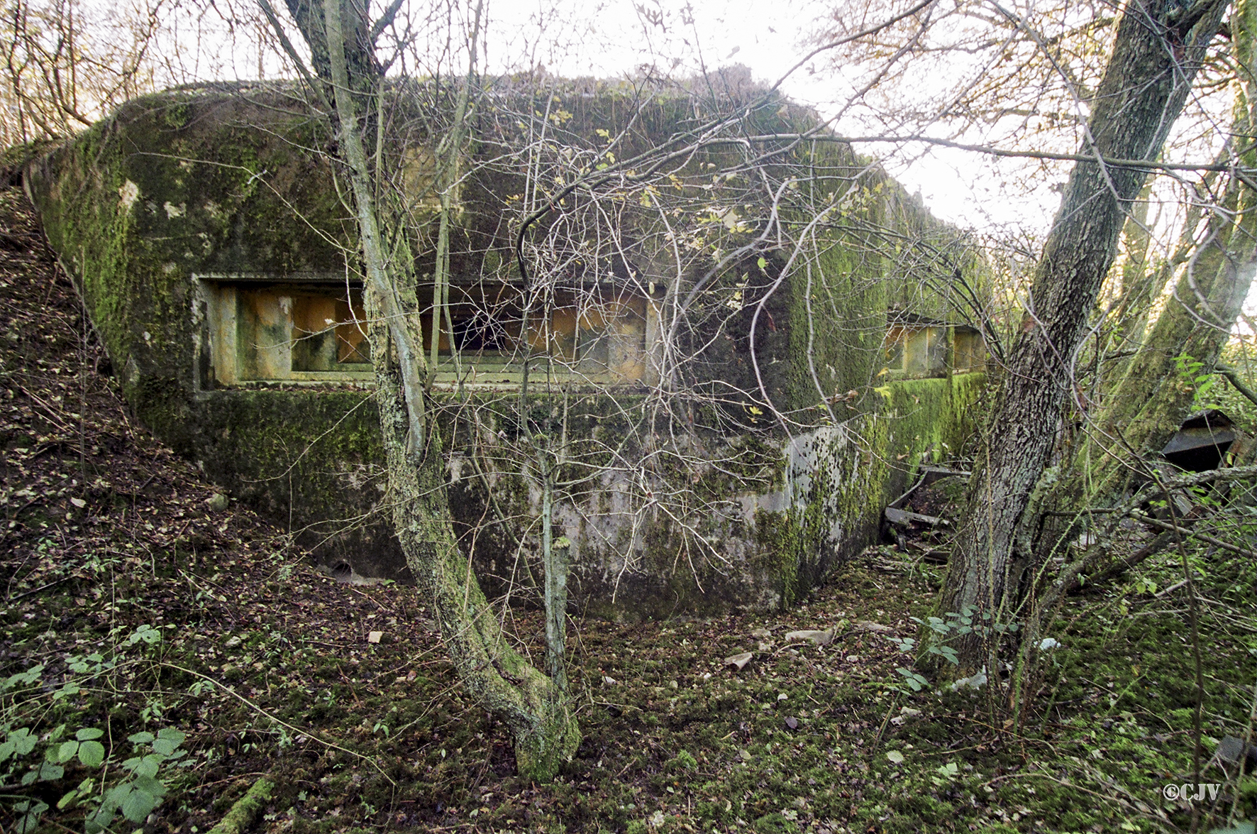Ligne Maginot - GUCKENBERG 9 - (Observatoire d'artillerie) - 
