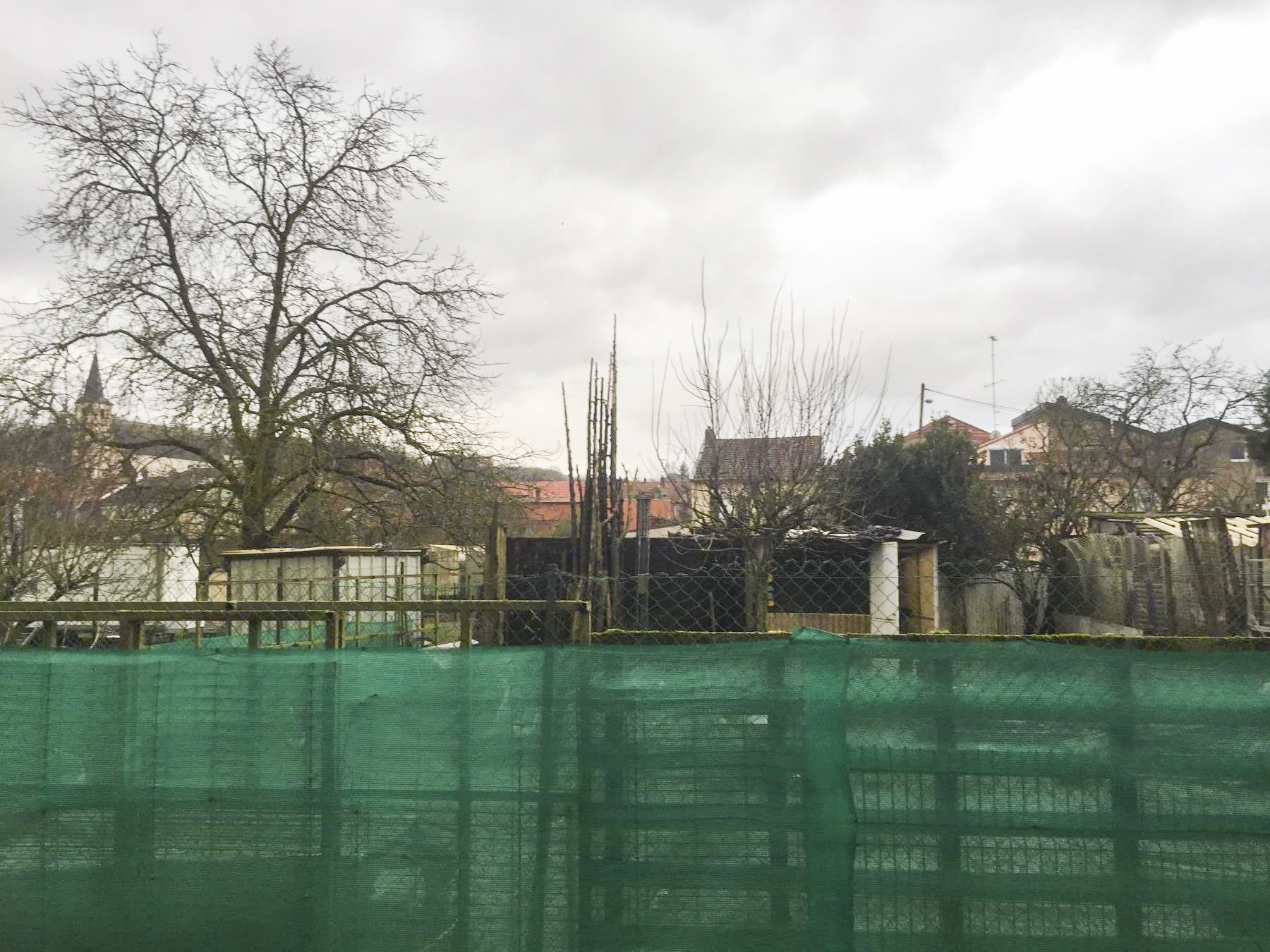 Ligne Maginot - CB115 - BIDESFELD 2 - (Blockhaus pour canon) - Le blockhaus en 2021