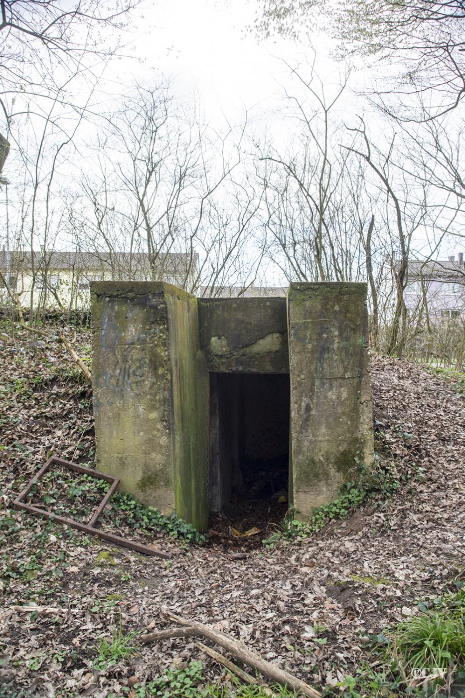 Ligne Maginot - NIEDERBETSCHDORF 3 (Blockhaus pour arme infanterie) -  - Lia VERMEULEN