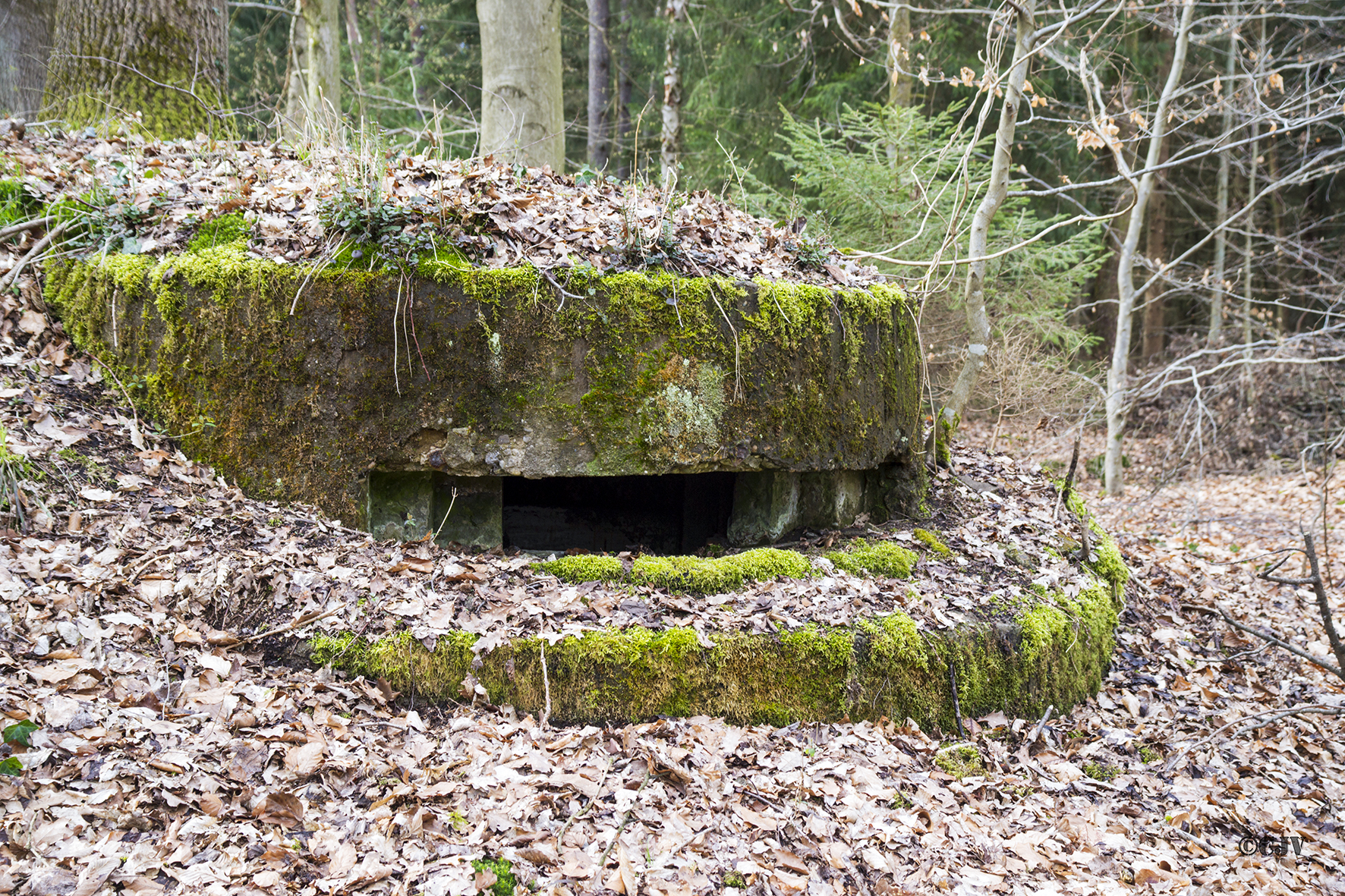 Ligne Maginot - RENDEZ VOUS de CHASSE 1 (Blockhaus pour arme infanterie) - 