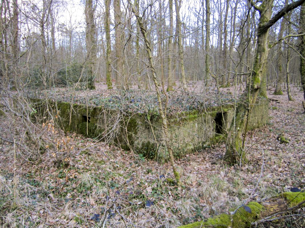 Ligne Maginot - SANDMUEHLE - (Casernement) -  - gregfuchs