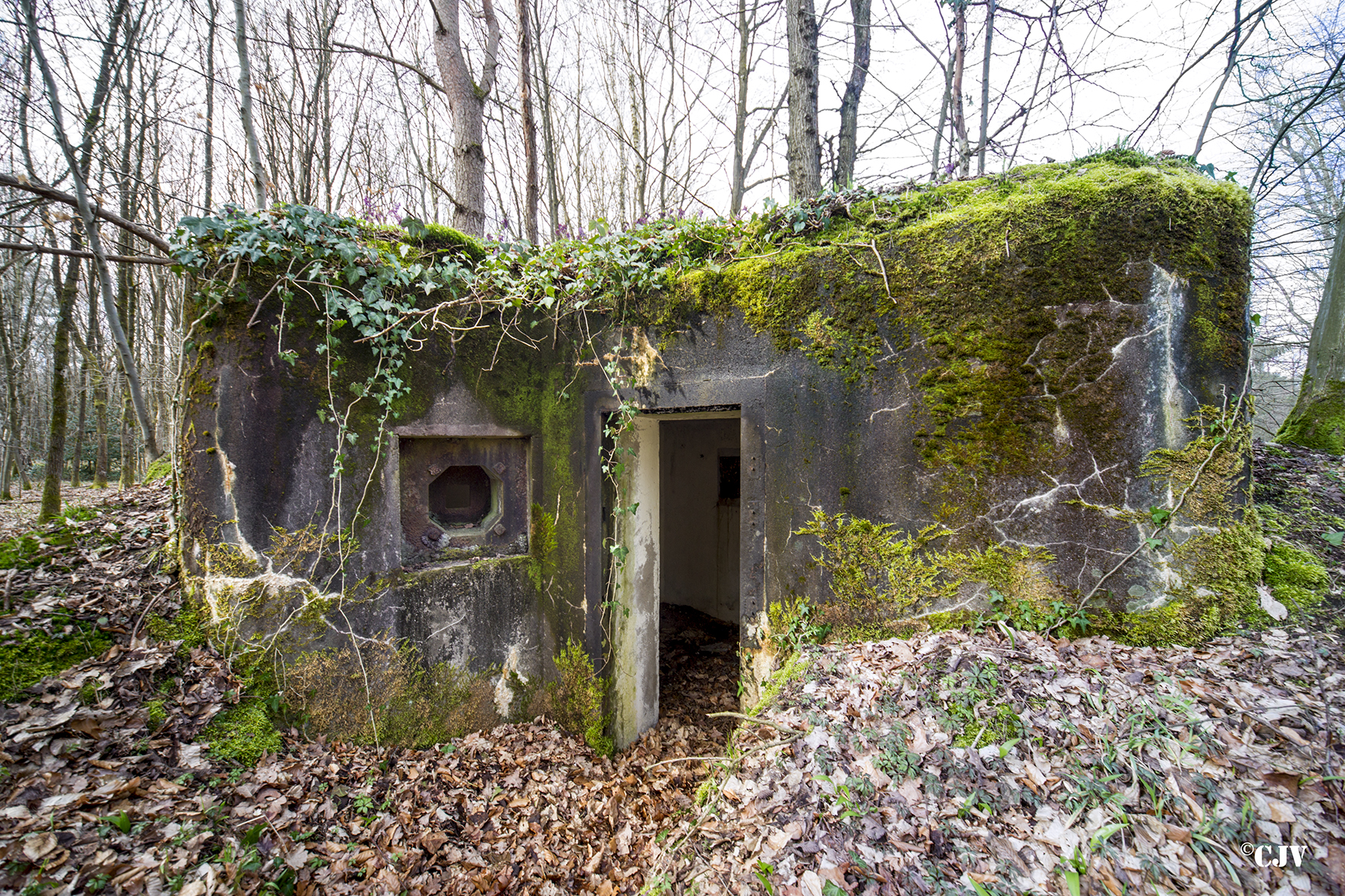 Ligne Maginot - SANDMUEHLE SUD - (Blockhaus pour arme infanterie) -  - Lia VERMEULEN