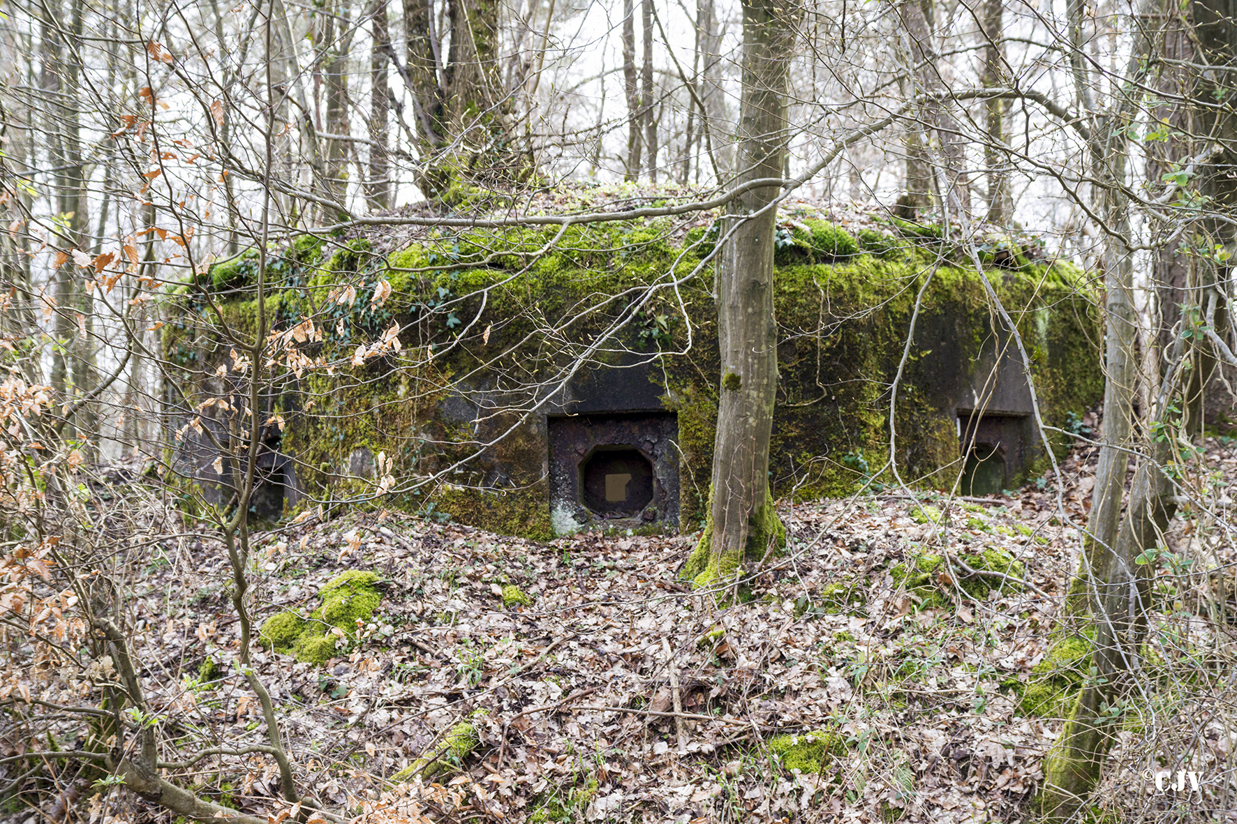 Ligne Maginot - SANDMUEHLE SUD - (Blockhaus pour arme infanterie) - Vue de face avant - Lia VERMEULEN