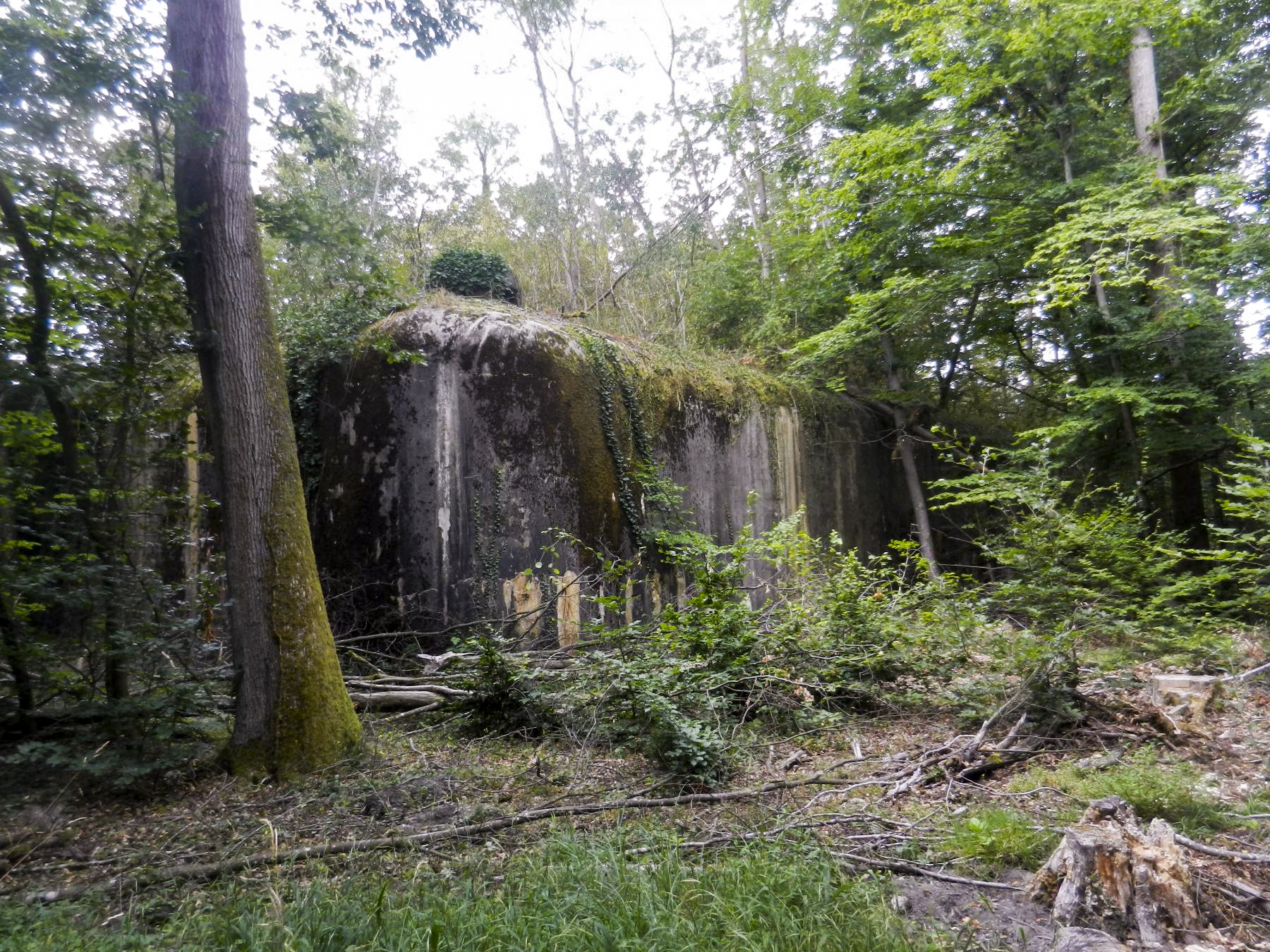 Ligne Maginot - SAUER (Abri) - Cloche GFM 