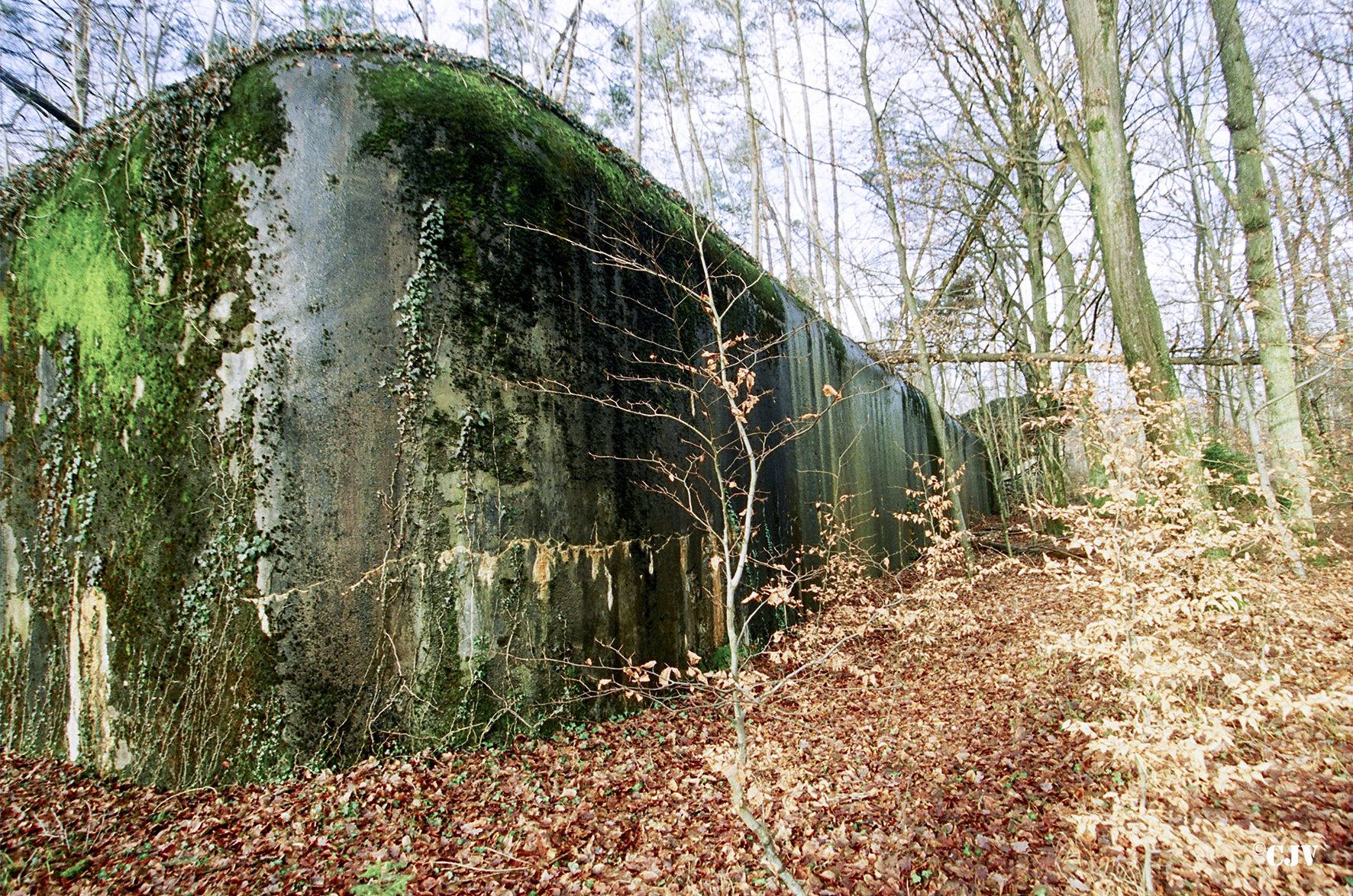 Ligne Maginot - SAUER (Abri) - Mur de façade frontale