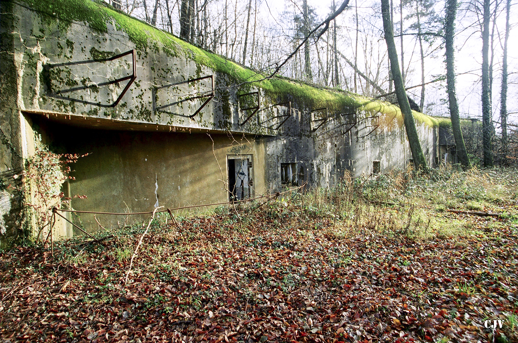 Ligne Maginot - SAUER (Abri) - Etat en 2000