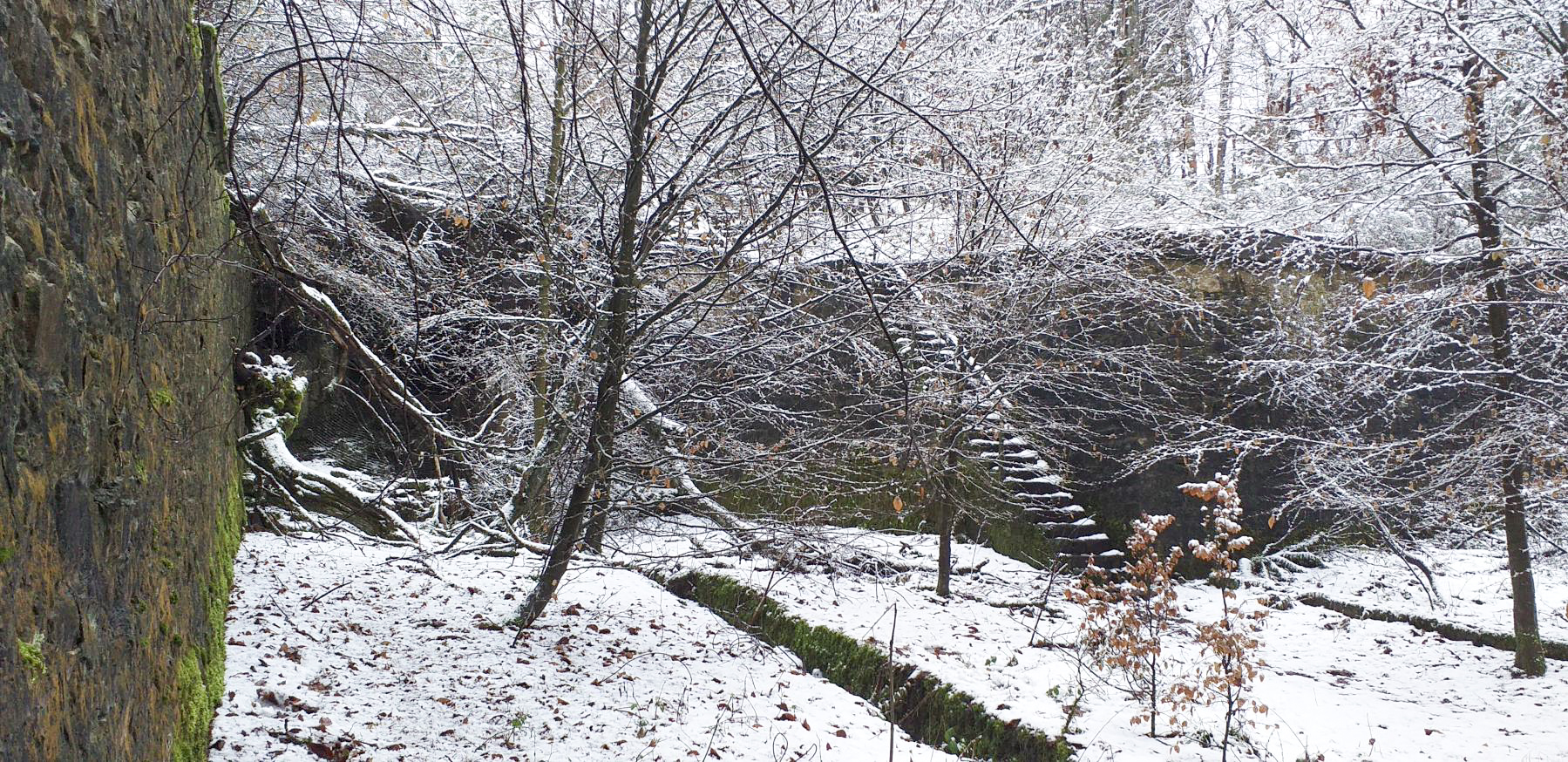 Ligne Maginot - HOCHWALD C5 - (Casemate d'infanterie) - La casemate et le fossé antichar