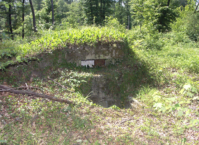 Ligne Maginot - SAUER 1 (Blockhaus pour arme infanterie) - 