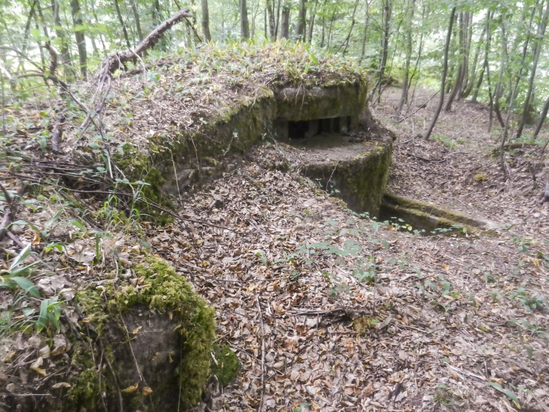 Ligne Maginot - SAUER 1 - (Blockhaus pour arme infanterie) - 