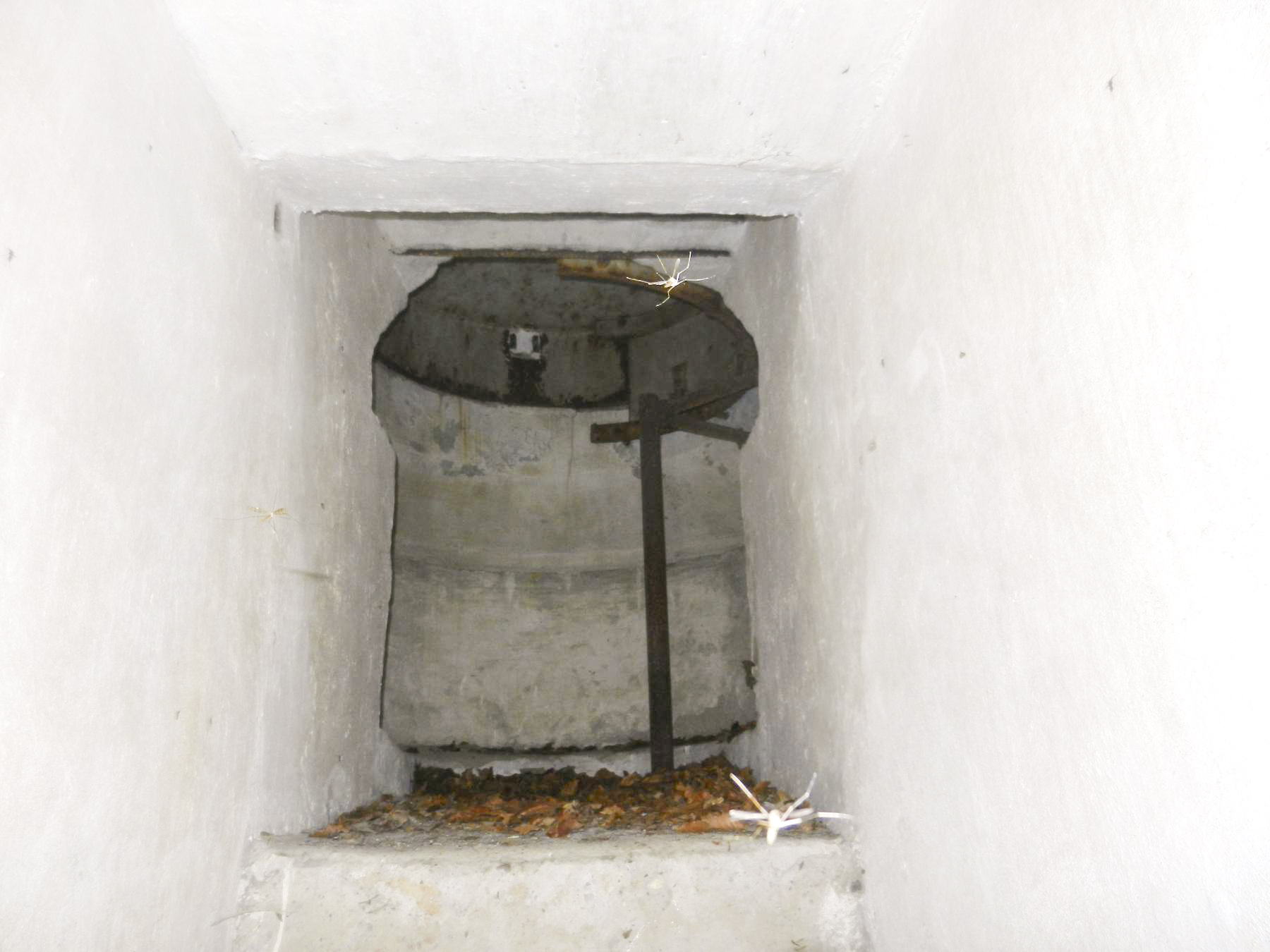 Ligne Maginot - SAUER 1 - (Blockhaus pour arme infanterie) - 