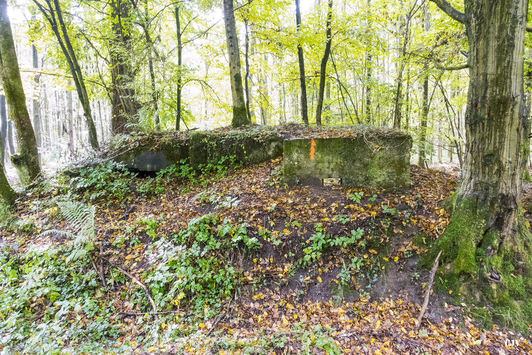 Ligne Maginot - SCHONUNG 2 (Blockhaus pour arme infanterie) - 
