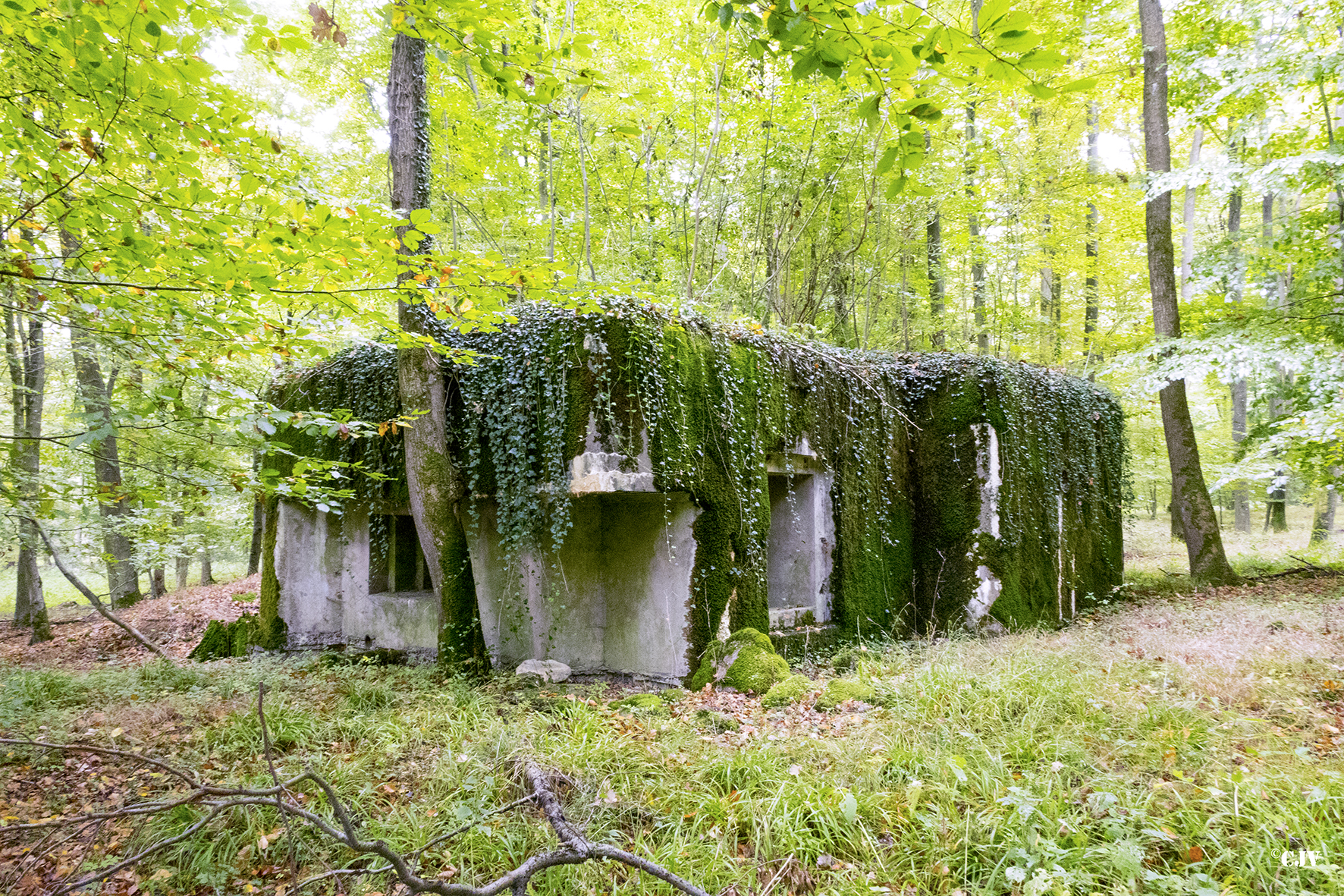 Ligne Maginot - SELTZBACH 3 (Blockhaus pour arme infanterie) -  - Lia VERMEULEN