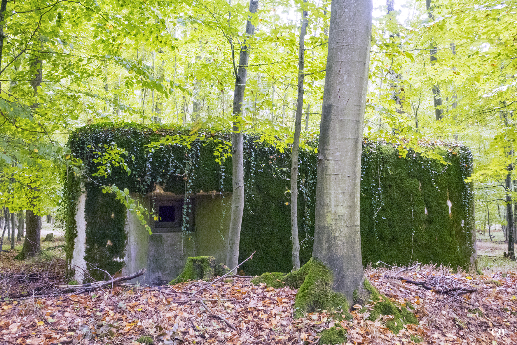 Ligne Maginot - SELTZBACH 3 (Blockhaus pour arme infanterie) - 