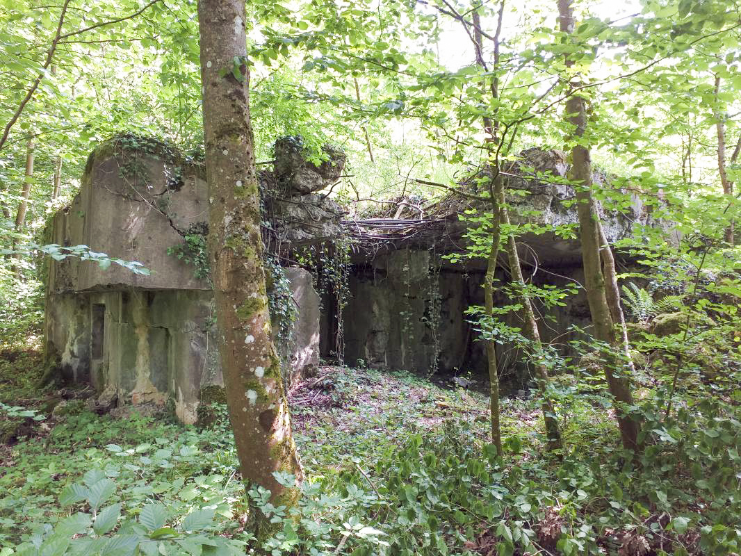 Ligne Maginot - SELTZBACH 5 - (Blockhaus pour arme infanterie) - Le bloc détruit