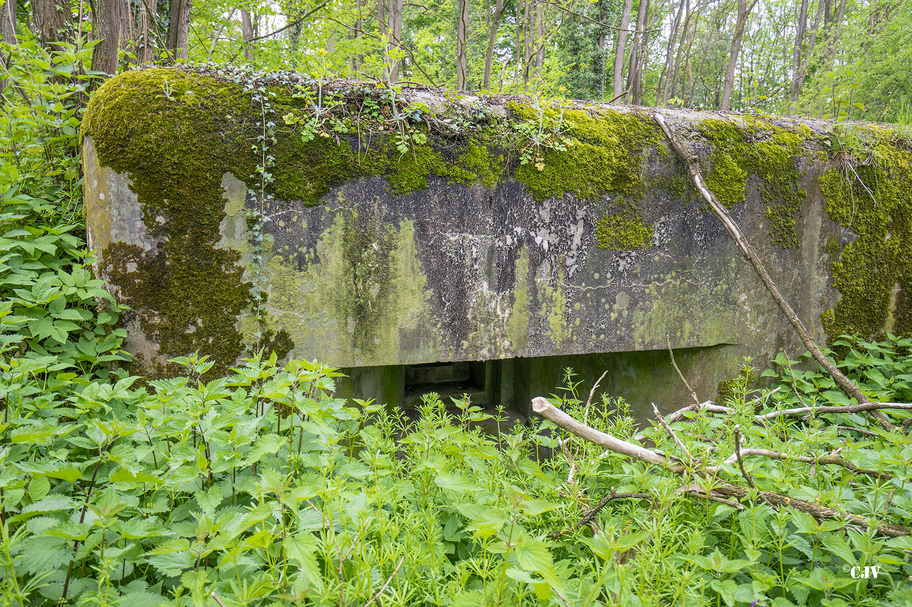Ligne Maginot - SELTZBACH 7 - (Blockhaus pour arme infanterie) -  - Lia VERMEULEN