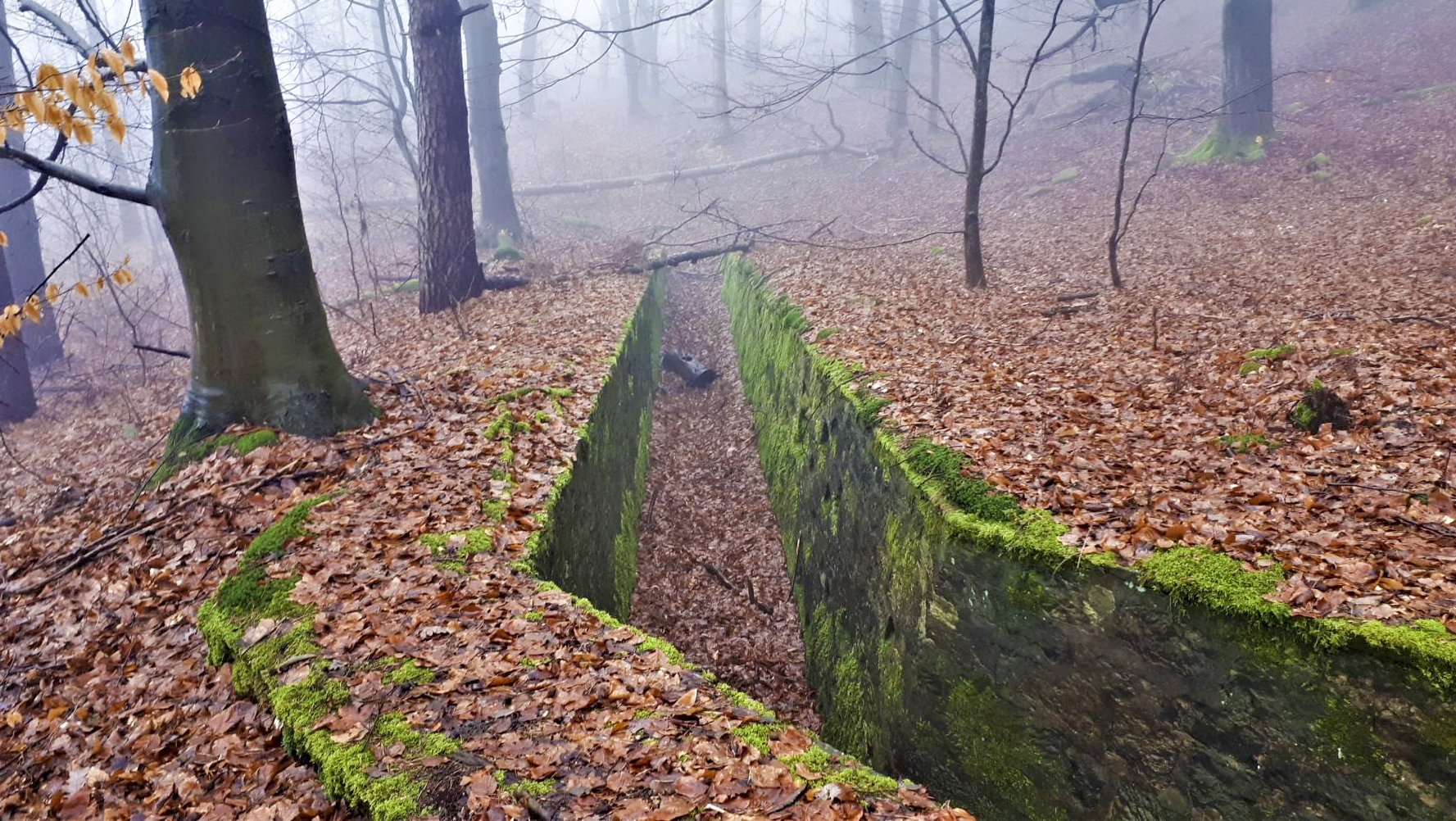 Ligne Maginot - HOCHWALD C7 - (Casemate d'infanterie) - L'entrée de la tranchée maçonnée menant à la casemate - Gregory Fuchs