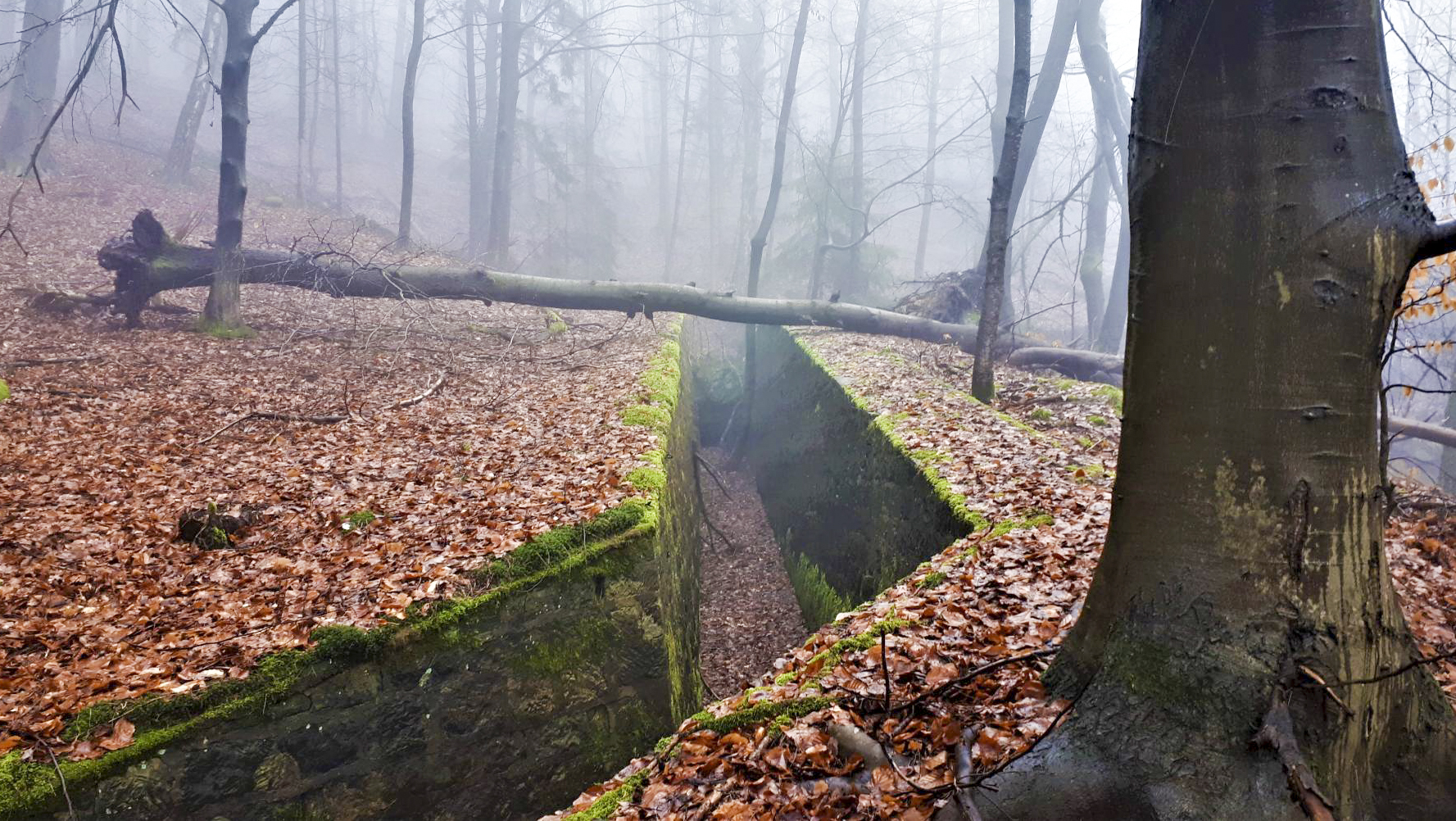 Ligne Maginot - HOCHWALD C7 - (Casemate d'infanterie) - La tranchée maçonnée menant à la casemate - Gregory Fuchs