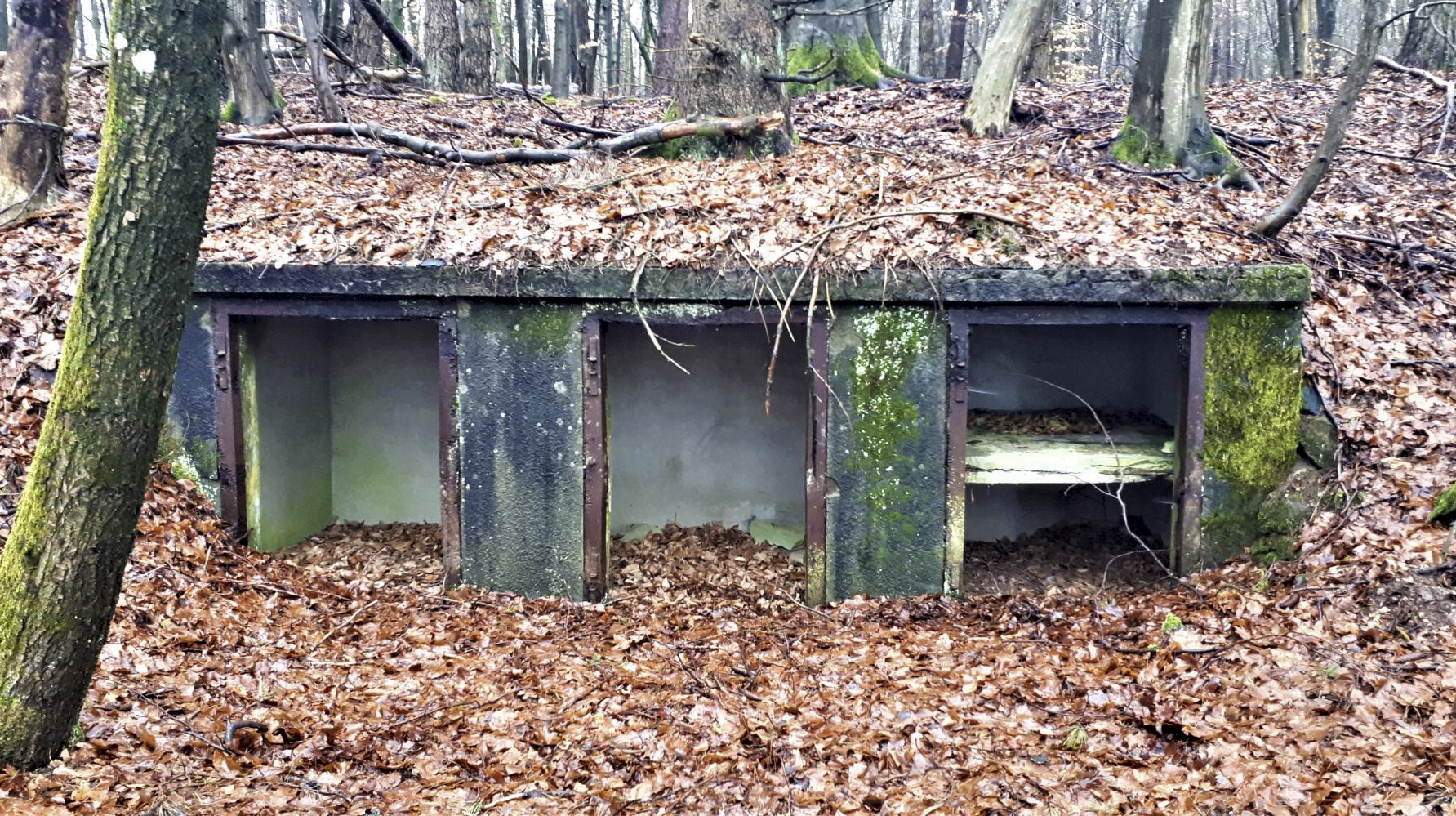 Ligne Maginot - HOCHWALD C6 - (Casemate d'infanterie) - Niches de stockage extérieur pour les mines et le barbelé