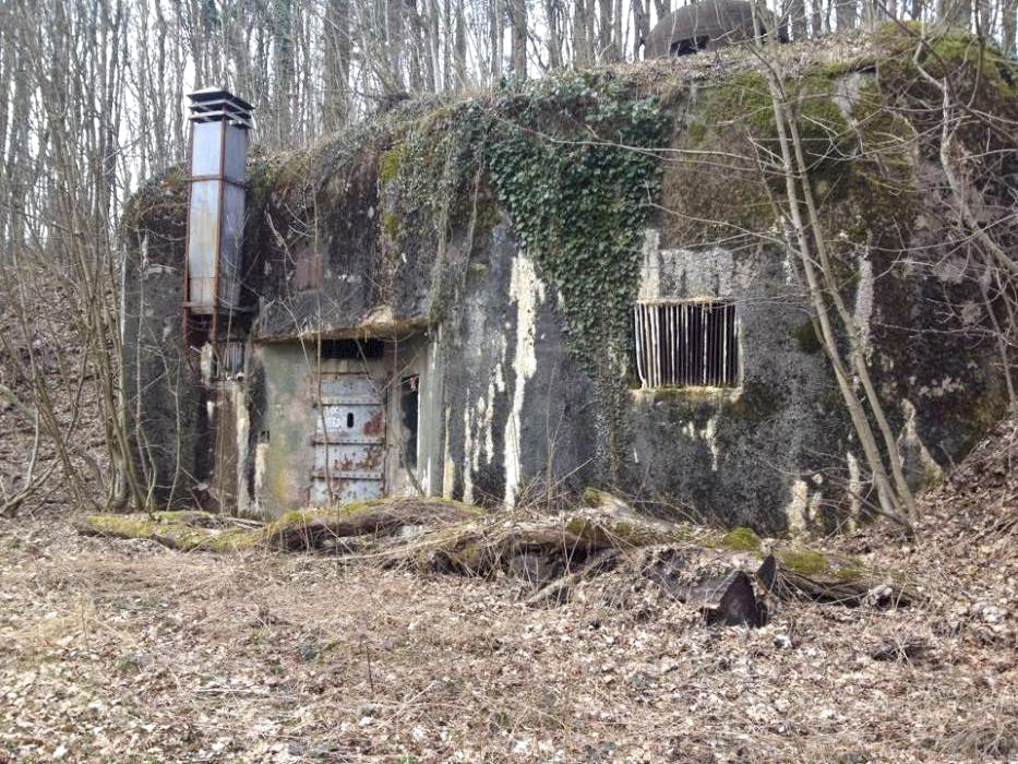 Ligne Maginot - FREUDENBERG (QUARTIER SCHIESSECK - I/37° RIF) - (Abri) - Le coffre d'entrée Est - EVA  Philippe