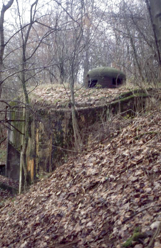 Ligne Maginot - CRUSNES OUEST - C24 - (Casemate d'infanterie - Simple) - 