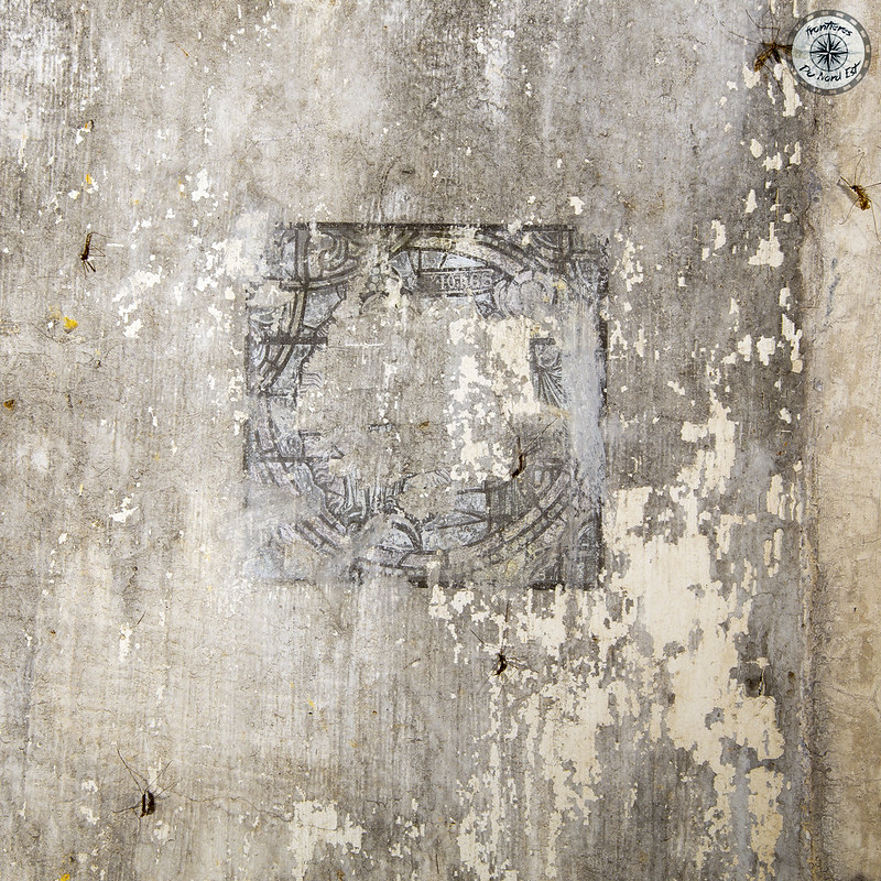 Ligne Maginot - CRUSNES OUEST - C24 - (Casemate d'infanterie - Simple) - 