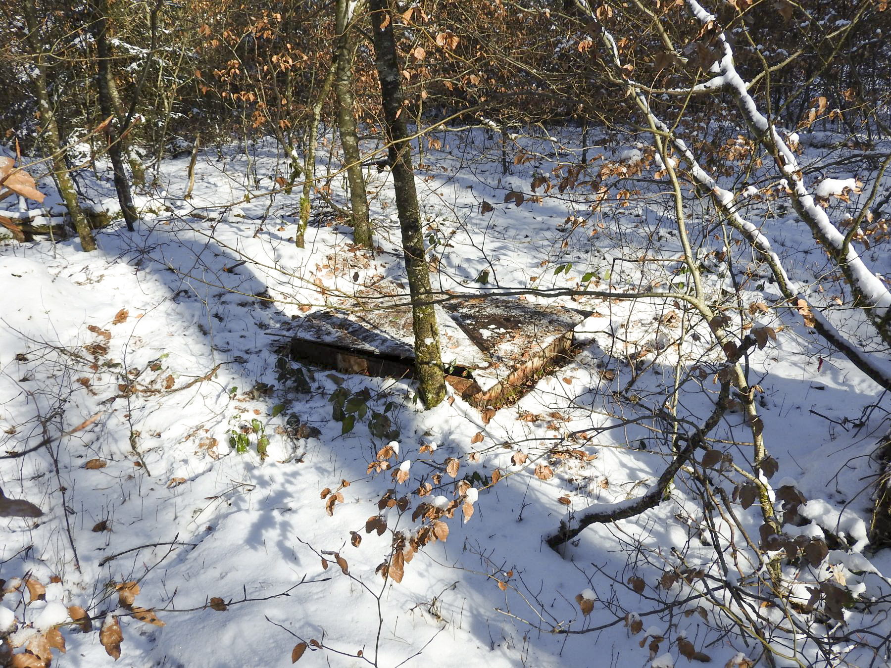 Ligne Maginot - D1 - (Chambre de coupure) - La chambre de coupure D1 - STENGER Mathieu