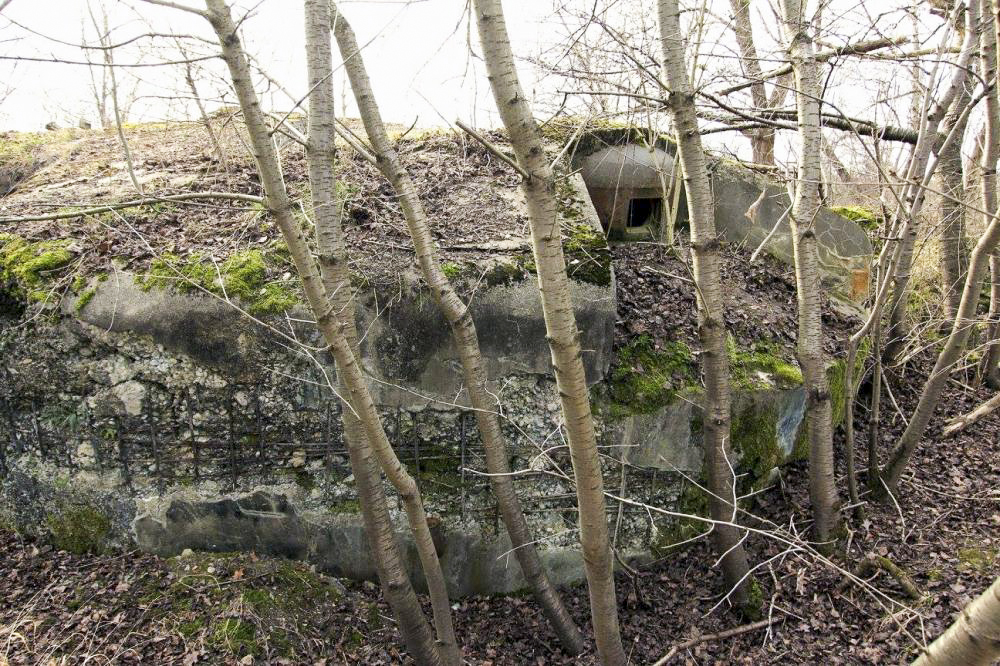 Ligne Maginot - 3/2 - FORT LOUIS VILLAGE - (Casemate d'infanterie - Double) - 