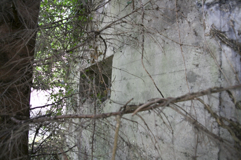Ligne Maginot - AUENHEIM 4 (Blockhaus pour arme infanterie) -  - GRUBER Franck