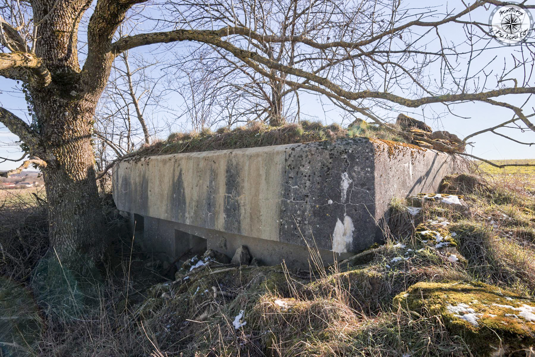 Ligne Maginot - DB48 - MB7 - LA GRANDE PIECE - (Blockhaus pour arme infanterie) -  - Thierry Caland