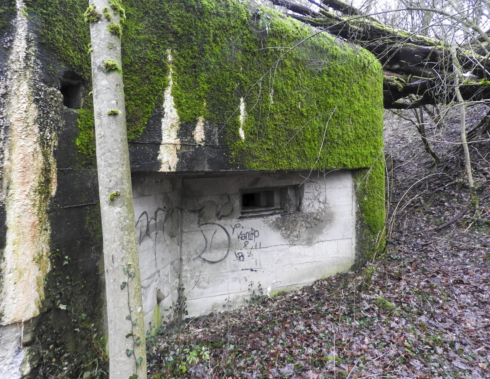 Ligne Maginot - HOLZMISS - (Blockhaus lourd type STG / STG-FCR - Simple) - Le créneaux pour mitrailleuse