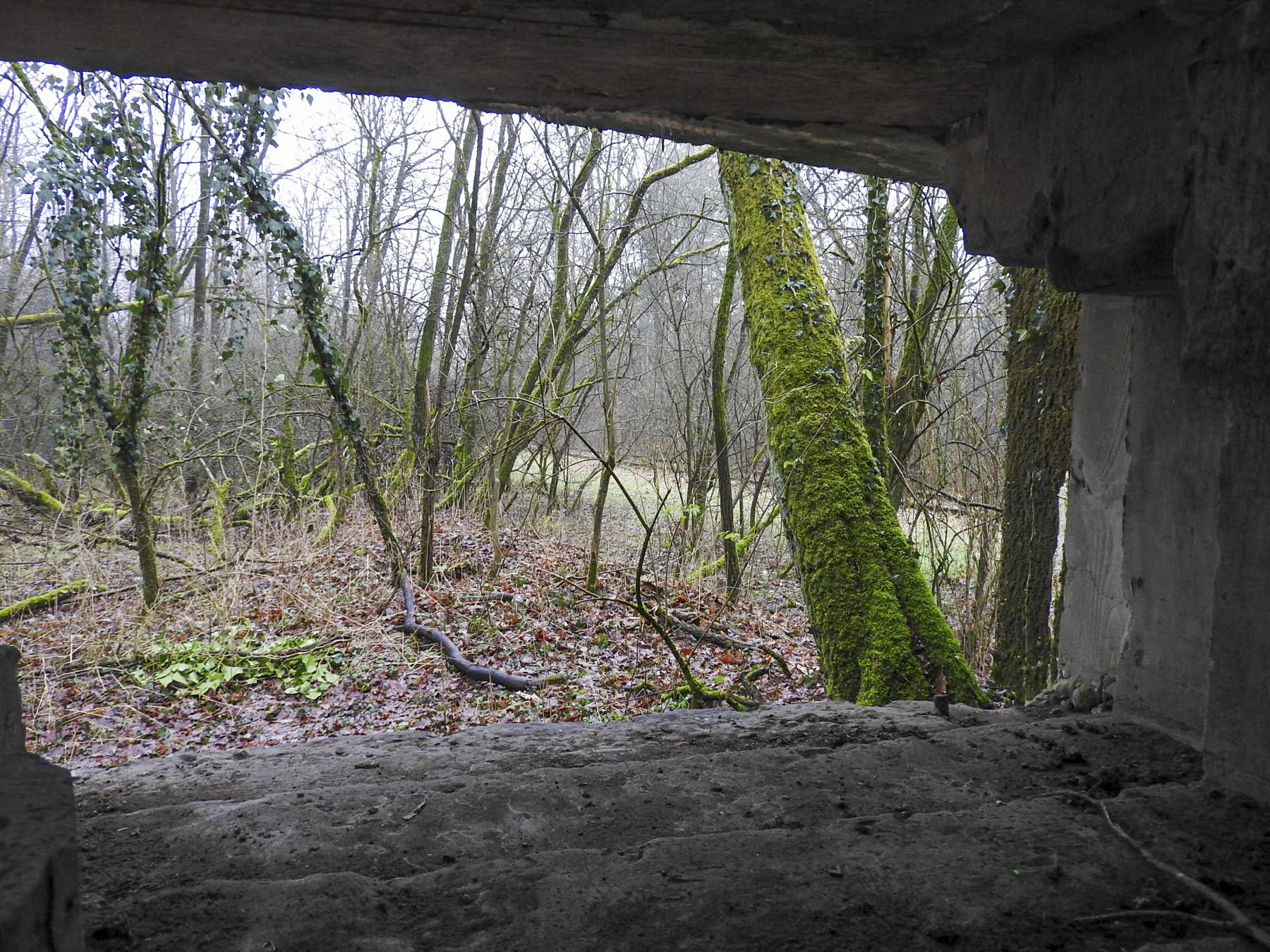 Ligne Maginot - HOLZMISS - (Blockhaus lourd type STG / STG-FCR - Simple) - La vue sur la voie ferrée depuis le créneau AC