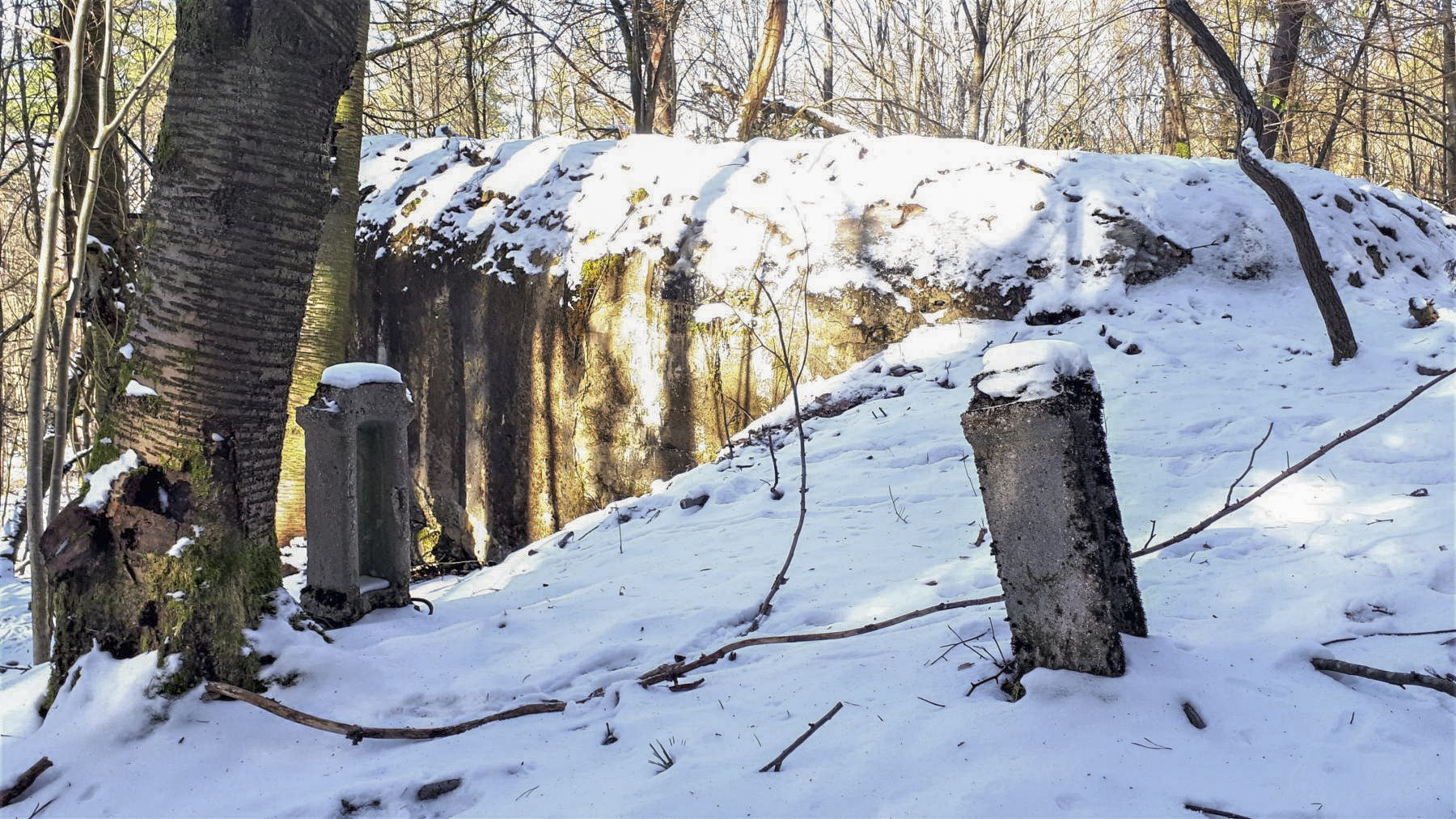 Ligne Maginot - HOCHWALD C1 - (Casemate d'infanterie) - Supports de poteaux pour l'alimentation électrique extérieure