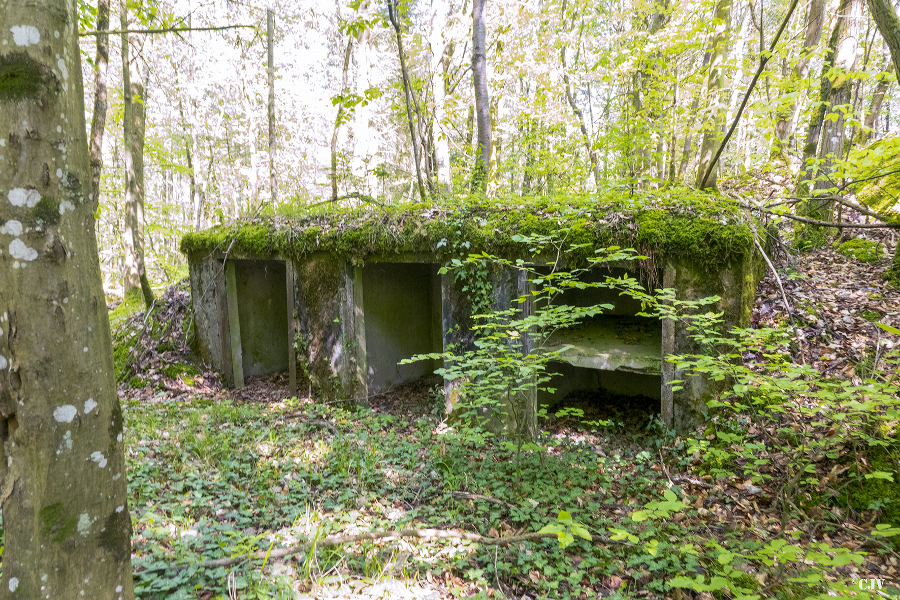 Ligne Maginot - DRACHENBRONN Sud Est ( Casemate d'infanterie ) - Les niches à mines à l'extérieur - Lia VERMEULEN