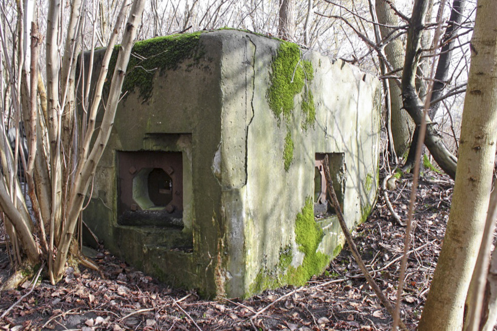 Ligne Maginot - RAMELSHAUSEN 1 (Blockhaus pour arme infanterie) - 